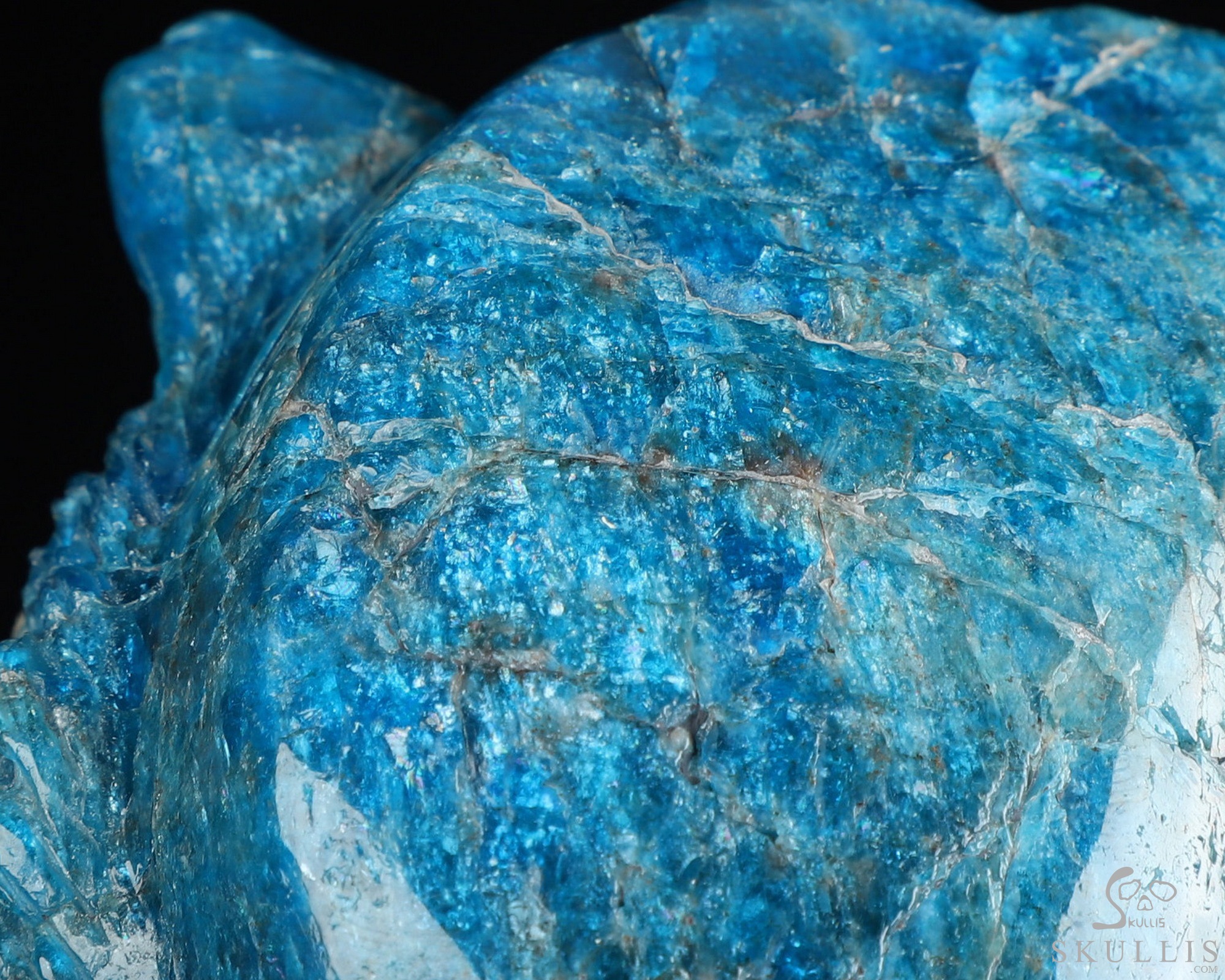 6.5" Blue Apatite Hand Carved Crystal Skull and Lion Fine Art Sculpture, Crystal Healing 6.5" Blue Apatite Hand Carved Crystal Skull and Lion Fine Art Sculpture, Crystal Healing