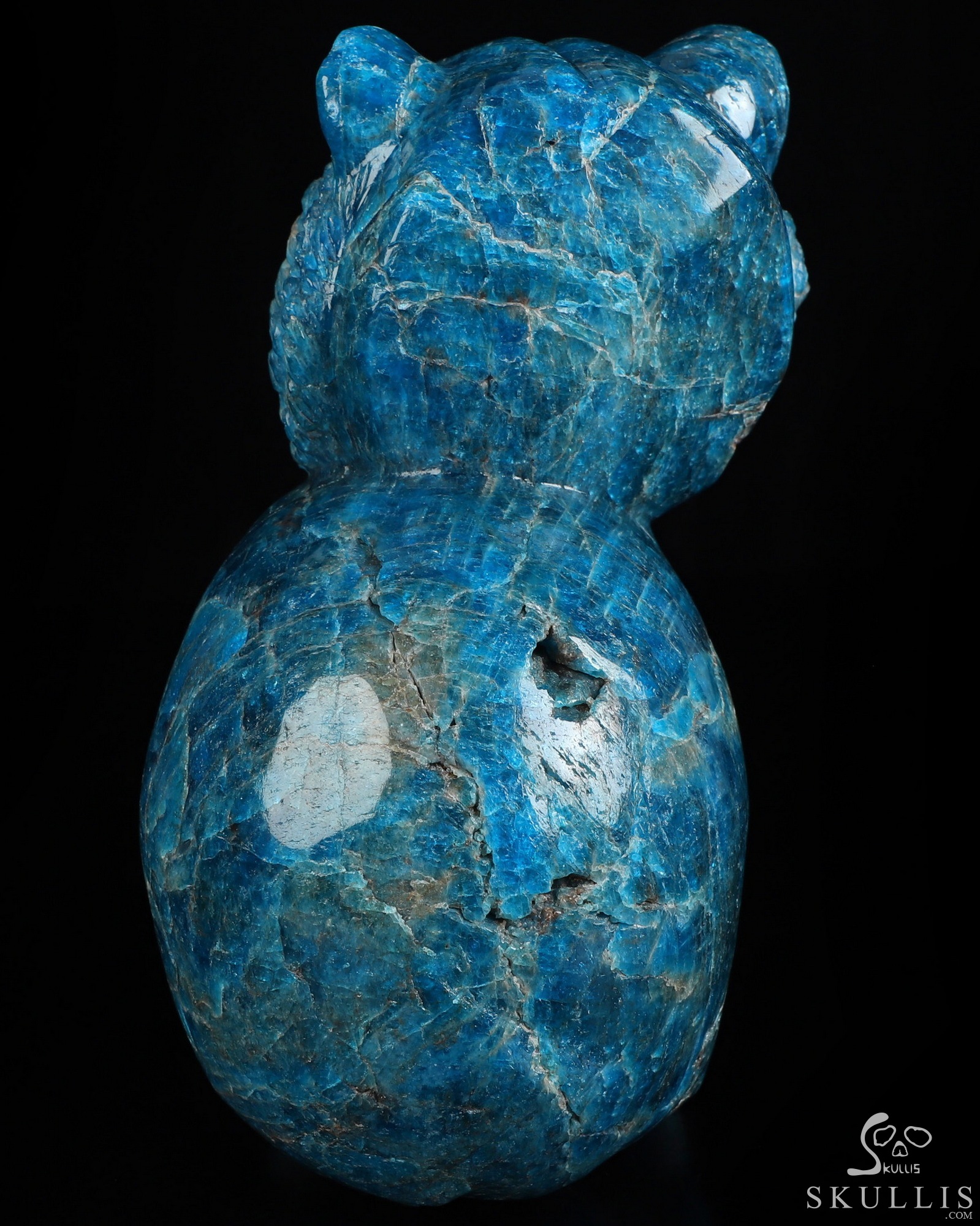 6.5" Blue Apatite Hand Carved Crystal Skull and Lion Fine Art Sculpture, Crystal Healing 6.5" Blue Apatite Hand Carved Crystal Skull and Lion Fine Art Sculpture, Crystal Healing