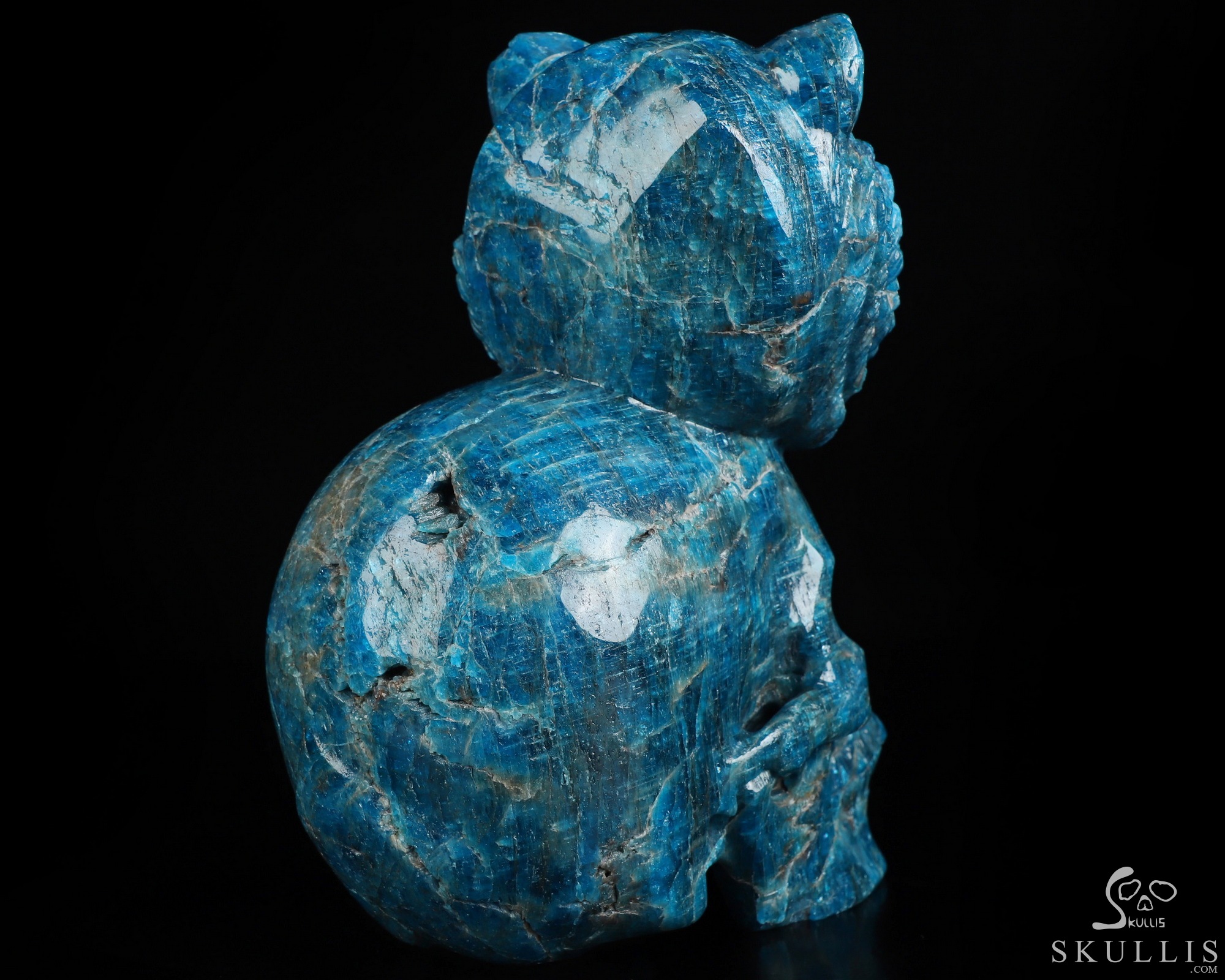 6.5" Blue Apatite Hand Carved Crystal Skull and Lion Fine Art Sculpture, Crystal Healing 6.5" Blue Apatite Hand Carved Crystal Skull and Lion Fine Art Sculpture, Crystal Healing