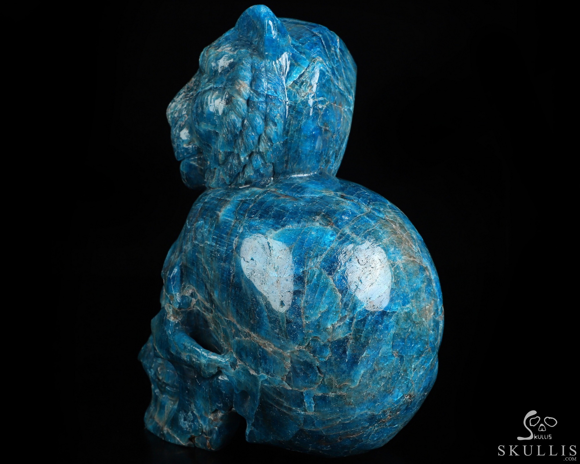 6.5" Blue Apatite Hand Carved Crystal Skull and Lion Fine Art Sculpture, Crystal Healing 6.5" Blue Apatite Hand Carved Crystal Skull and Lion Fine Art Sculpture, Crystal Healing