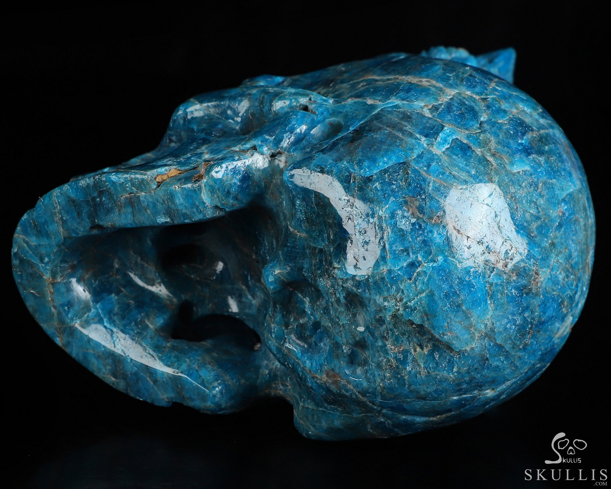 6.5" Blue Apatite Hand Carved Crystal Skull and Lion Fine Art Sculpture, Crystal Healing 6.5" Blue Apatite Hand Carved Crystal Skull and Lion Fine Art Sculpture, Crystal Healing
