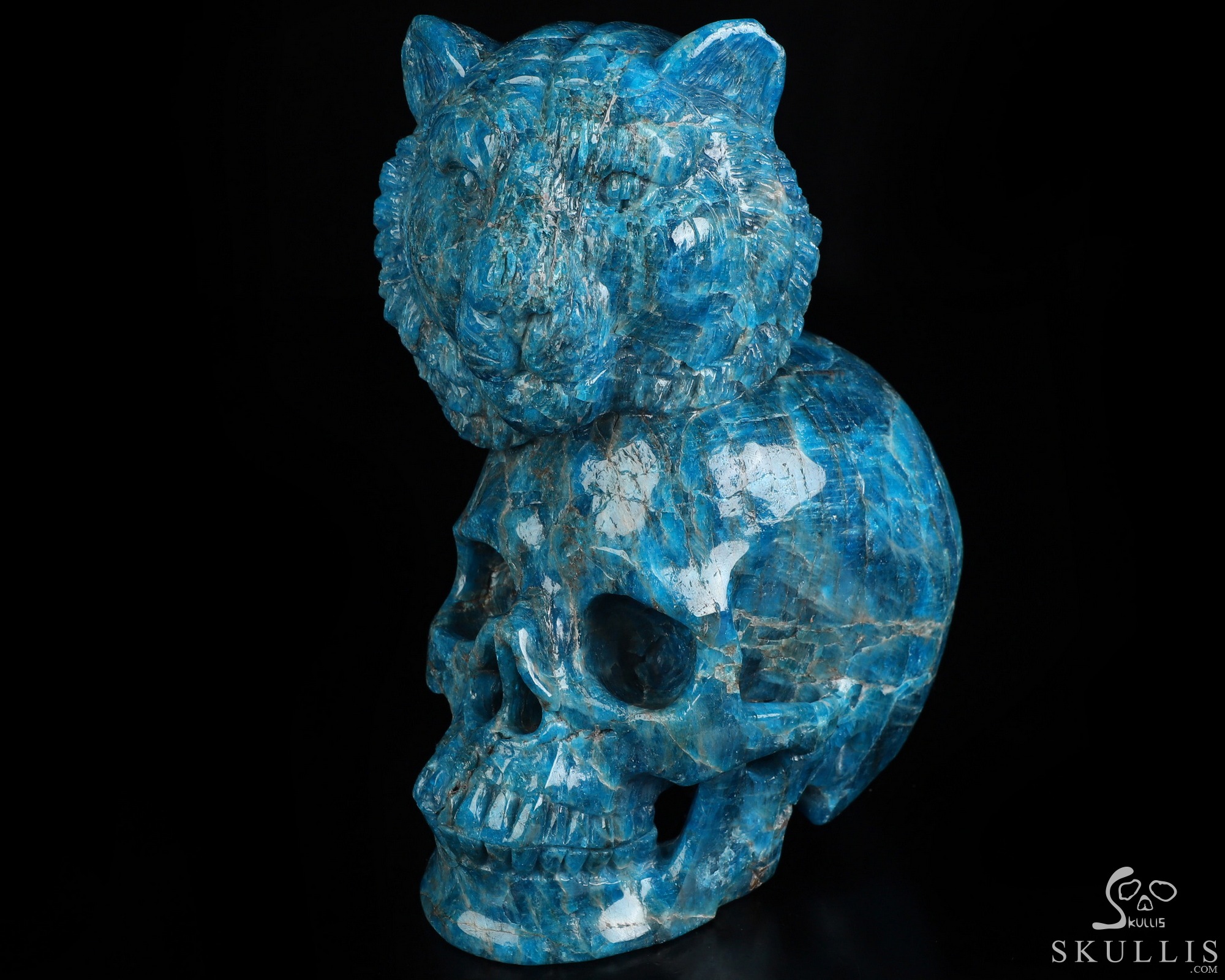 6.5" Blue Apatite Hand Carved Crystal Skull and Lion Fine Art Sculpture, Crystal Healing 6.5" Blue Apatite Hand Carved Crystal Skull and Lion Fine Art Sculpture, Crystal Healing