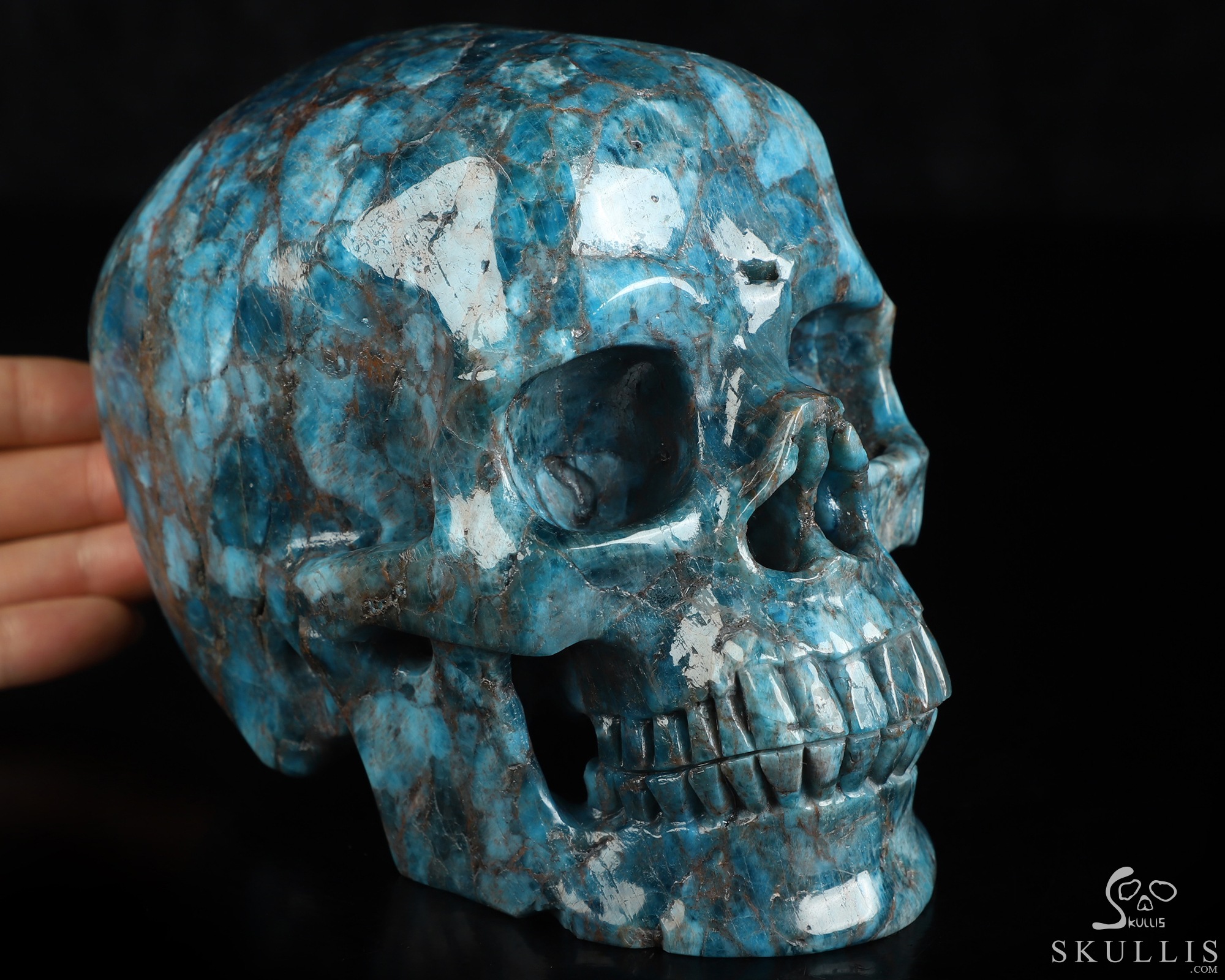 Lifesized 6.0" Blue Apatite Hand Carved Crystal Skull, Super Realistic, Crystal Healing Lifesized 6.0" Blue Apatite Hand Carved Crystal Skull, Super Realistic, Crystal Healing