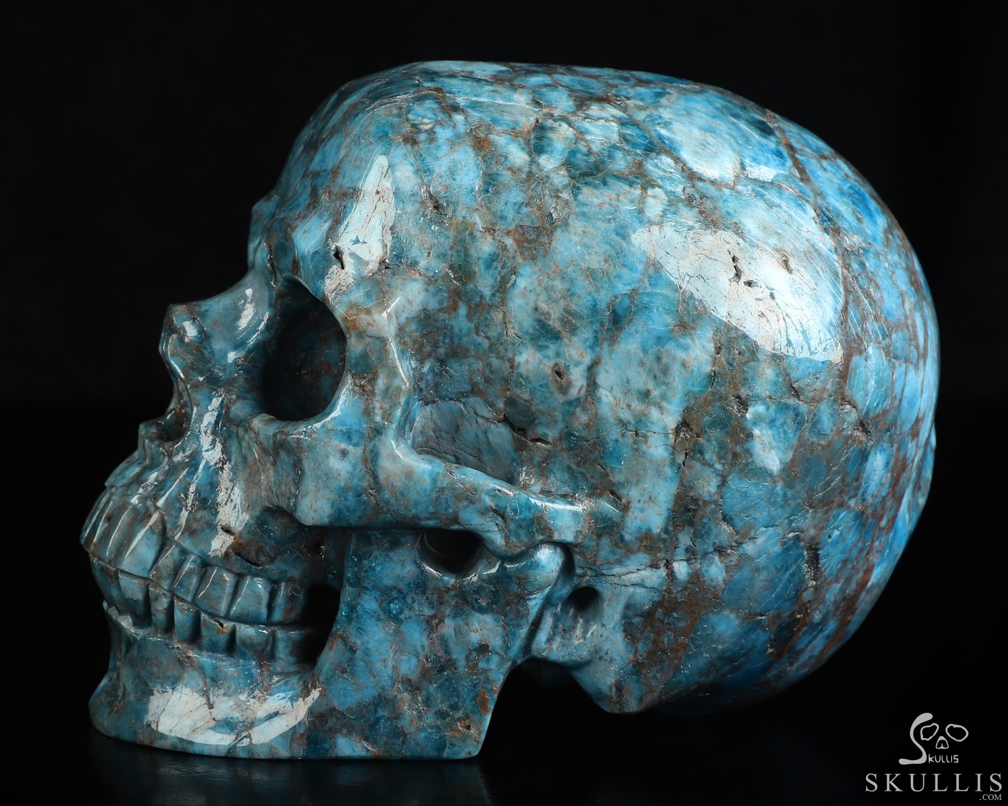 Lifesized 6.0" Blue Apatite Hand Carved Crystal Skull, Super Realistic, Crystal Healing Lifesized 6.0" Blue Apatite Hand Carved Crystal Skull, Super Realistic, Crystal Healing