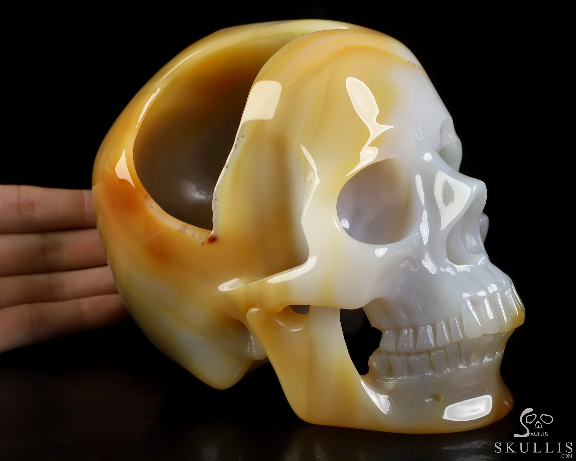 6.0" Carnelian Hand Carved Crystal Skull, Super Realistic, Crystal Healing 6.0" Carnelian Hand Carved Crystal Skull, Super Realistic, Crystal Healing