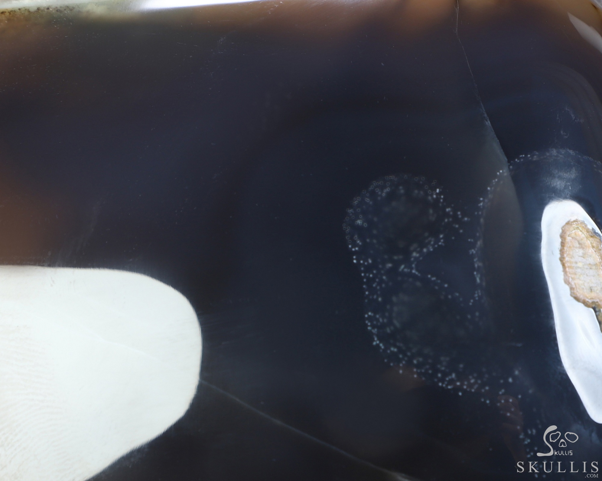 Lifesized 7.5" Agate Amethyst Geode Hand Carved Crystal Skull, Super Realistic, Crystal Healing Lifesized 7.5" Agate Amethyst Geode Hand Carved Crystal Skull, Super Realistic, Crystal Healing