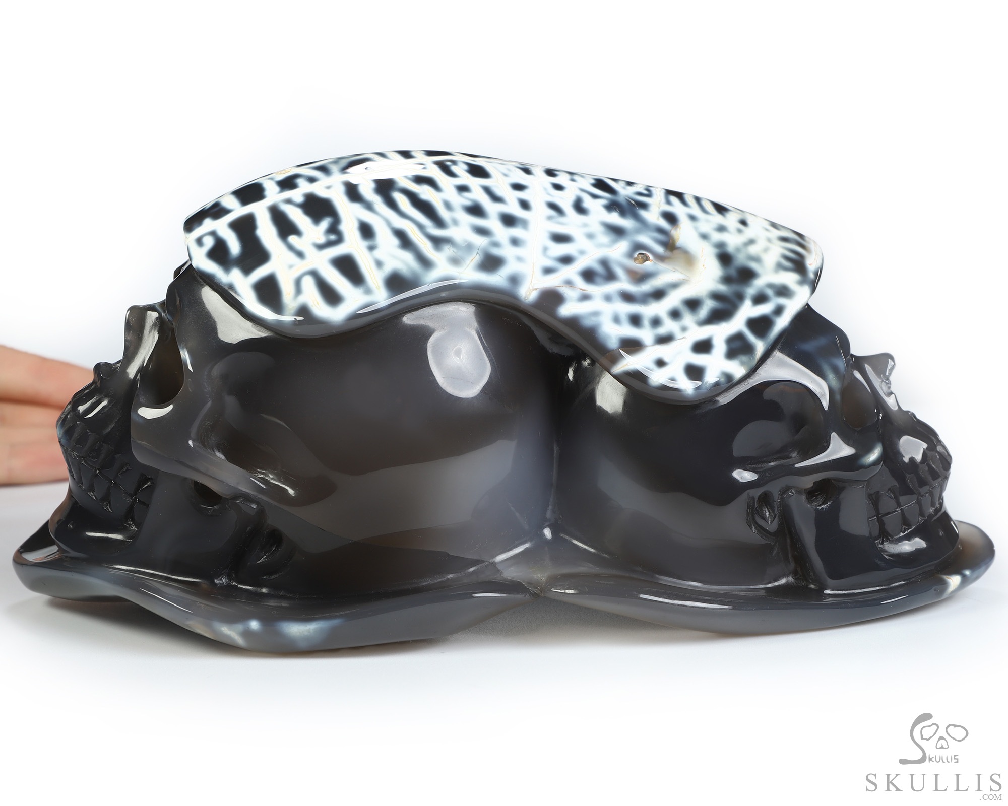 8.5" Orca agate Hand Carved Crystal Skull Fine Art Sculpture, Crystal Healing 8.5" Orca agate Hand Carved Crystal Skull Fine Art Sculpture, Crystal Healing