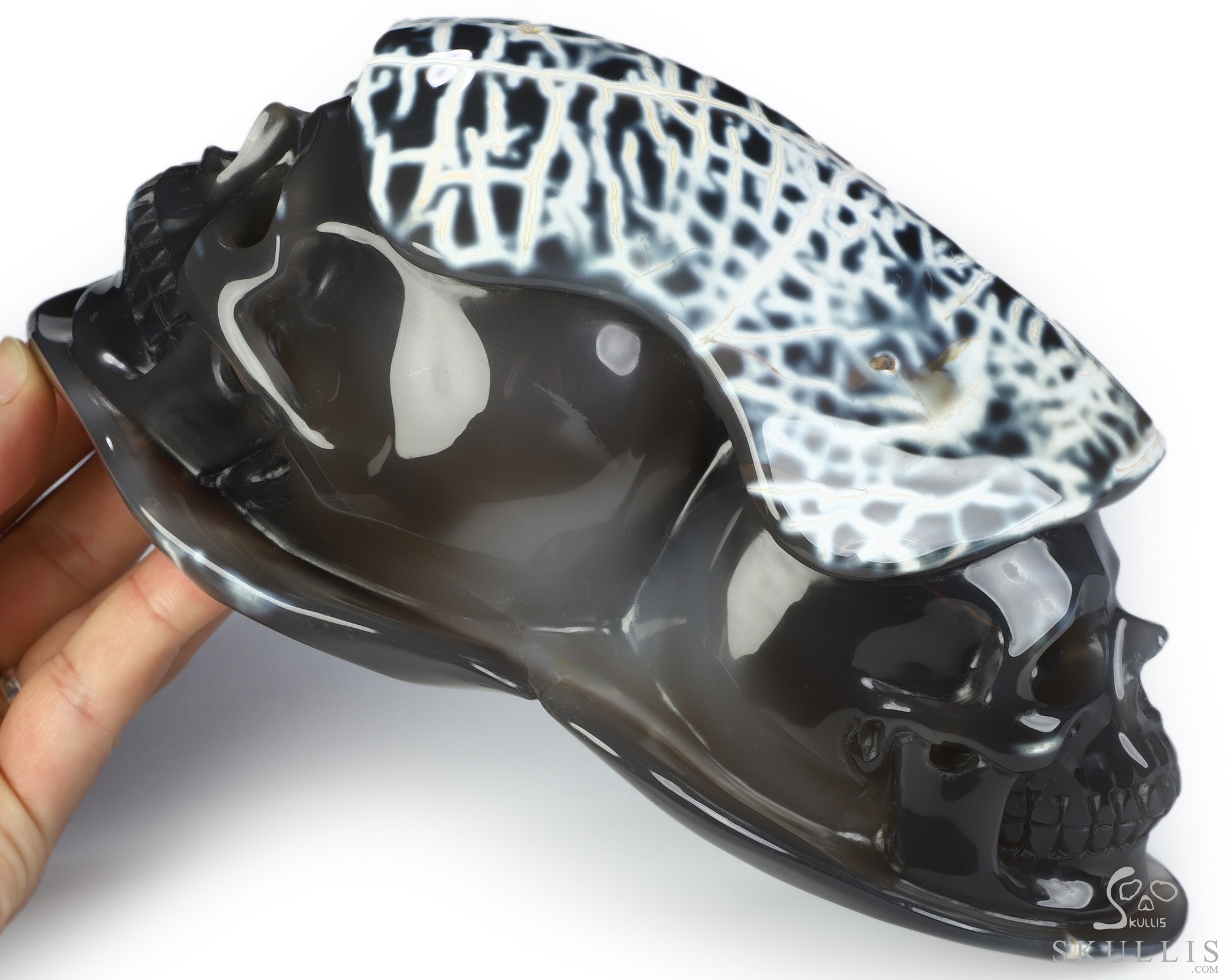 8.5" Orca agate Hand Carved Crystal Skull Fine Art Sculpture, Crystal Healing 8.5" Orca agate Hand Carved Crystal Skull Fine Art Sculpture, Crystal Healing