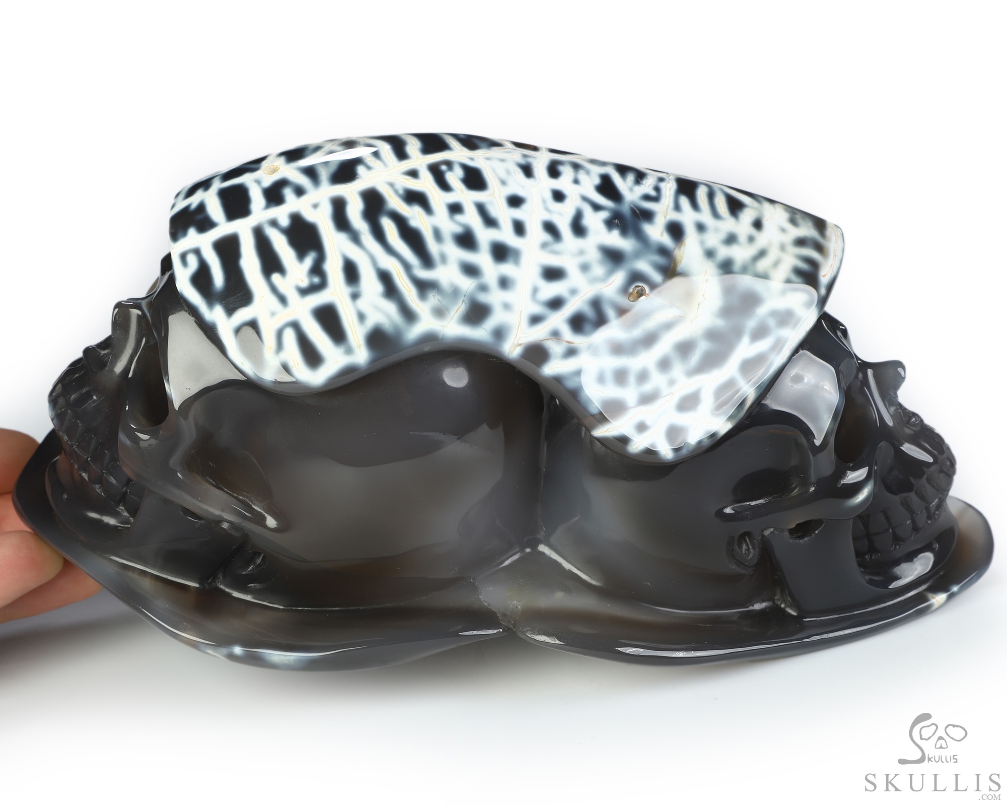 8.5" Orca agate Hand Carved Crystal Skull Fine Art Sculpture, Crystal Healing 8.5" Orca agate Hand Carved Crystal Skull Fine Art Sculpture, Crystal Healing