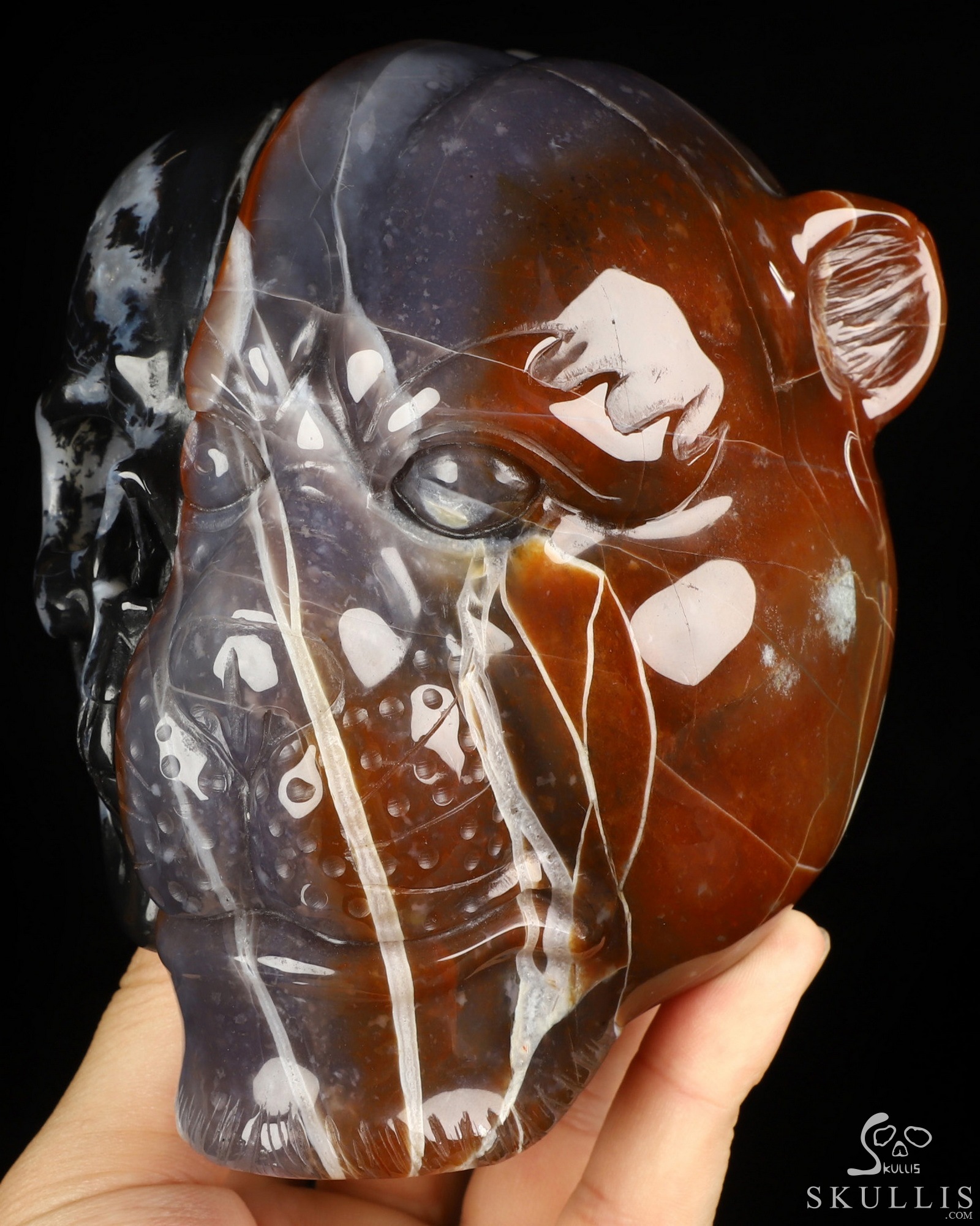 6.4" Black Zebra Agate Hand Carved Crystal Skull and Leopard Fine Art Sculpture, Crystal Healing 6.4" Black Zebra Agate Hand Carved Crystal Skull and Leopard Fine Art Sculpture, Crystal Healing