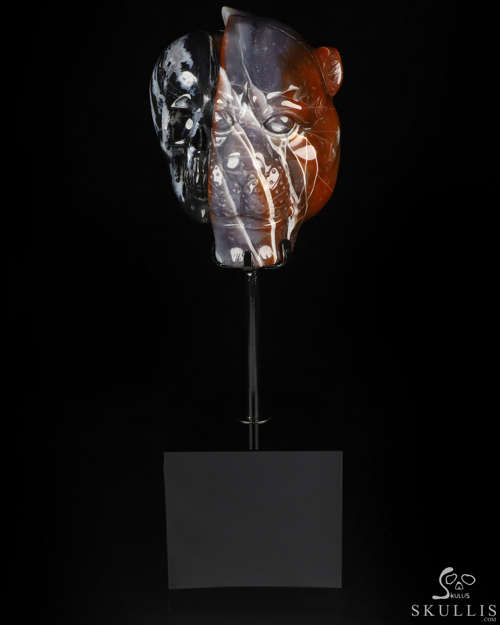 6.4" Black Zebra Agate Hand Carved Crystal Skull and Leopard Fine Art Sculpture, Crystal Healing 6.4" Black Zebra Agate Hand Carved Crystal Skull and Leopard Fine Art Sculpture, Crystal Healing