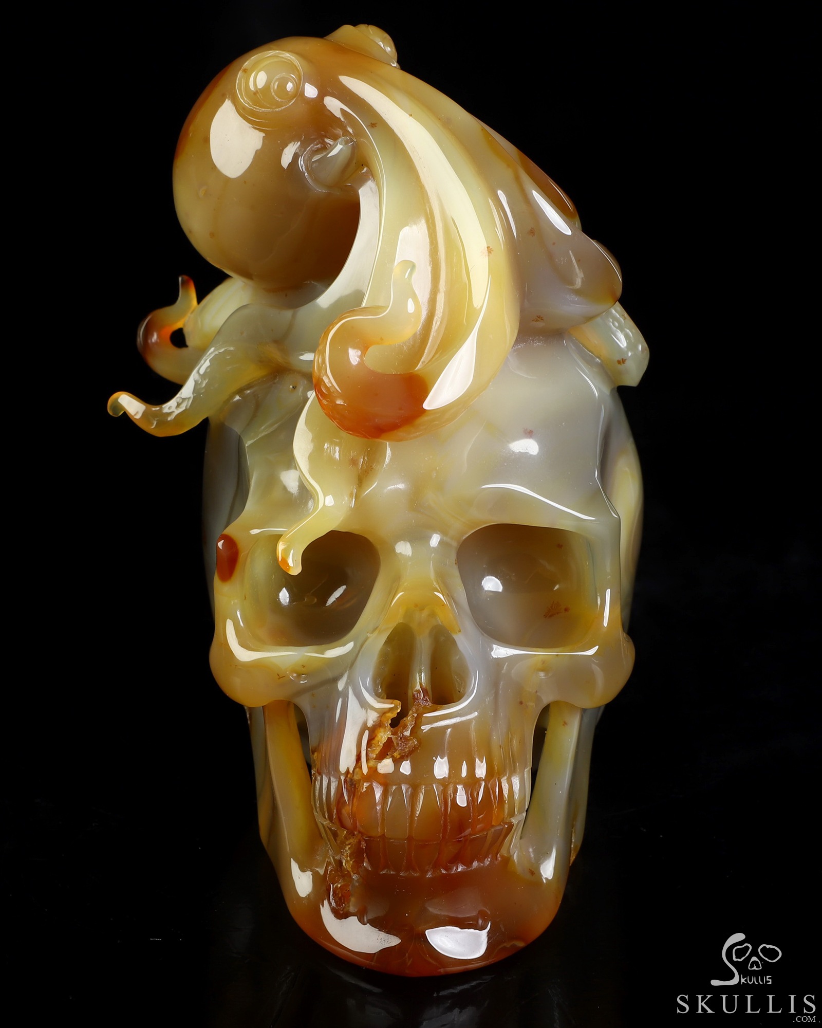 5.3" Carnelian Hand Carved Crystal Skull and Octopus Fine Art Sculpture, Crystal Healing 5.3" Carnelian Hand Carved Crystal Skull and Octopus Fine Art Sculpture, Crystal Healing