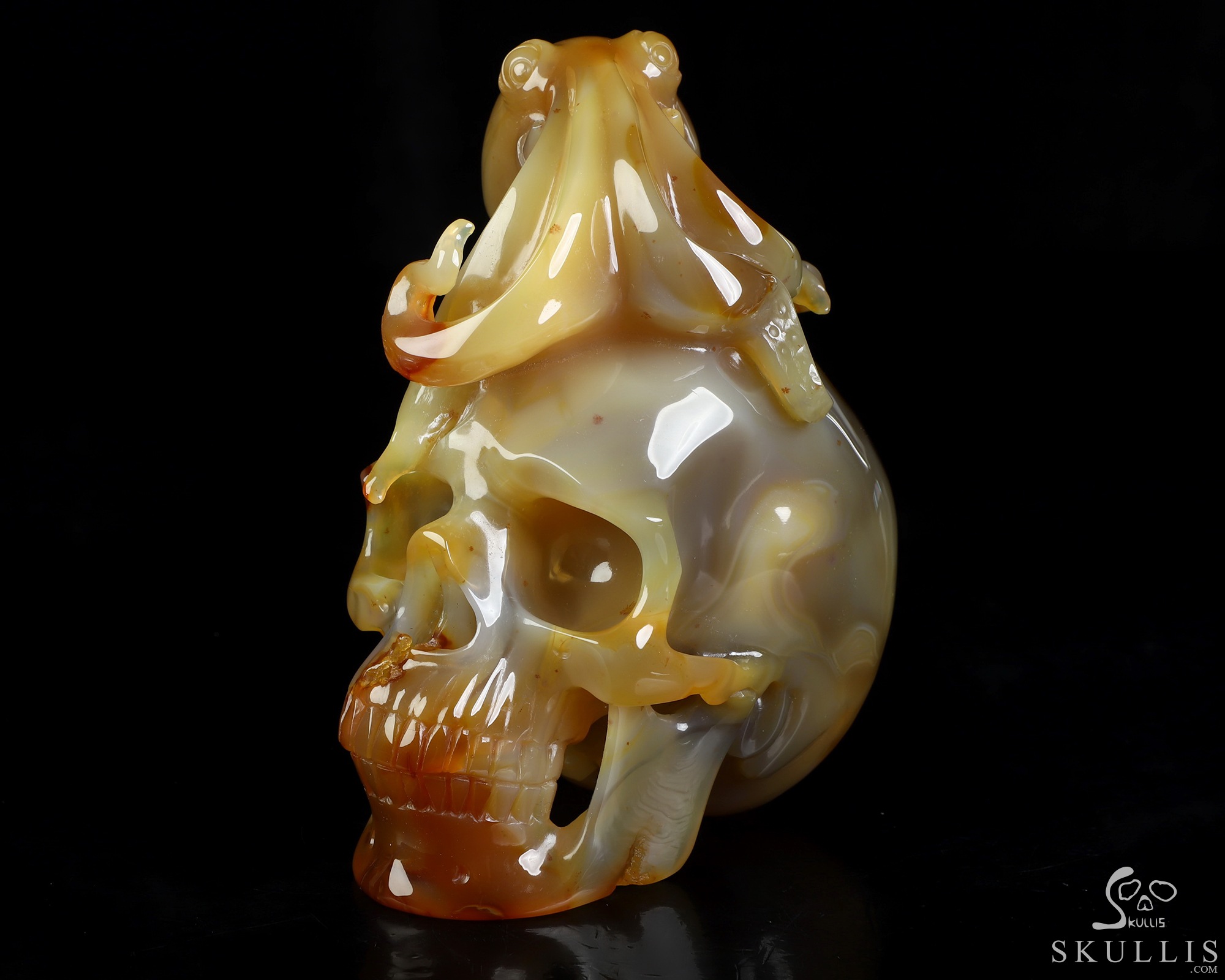 5.3" Carnelian Hand Carved Crystal Skull and Octopus Fine Art Sculpture, Crystal Healing 5.3" Carnelian Hand Carved Crystal Skull and Octopus Fine Art Sculpture, Crystal Healing