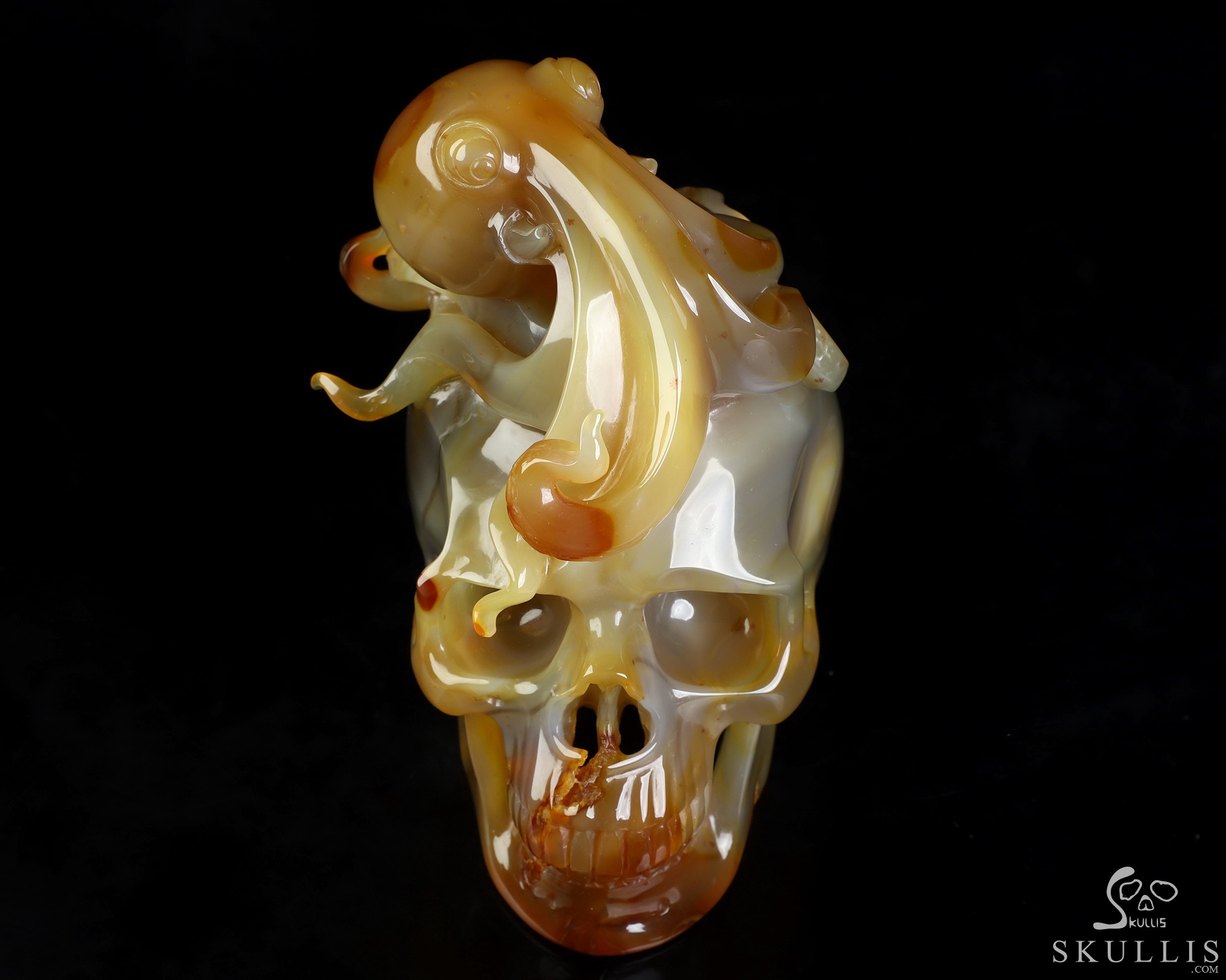 5.3" Carnelian Hand Carved Crystal Skull and Octopus Fine Art Sculpture, Crystal Healing 5.3" Carnelian Hand Carved Crystal Skull and Octopus Fine Art Sculpture, Crystal Healing