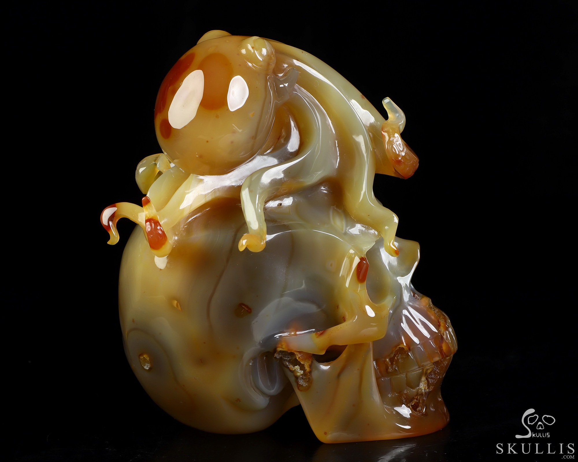 5.3" Carnelian Hand Carved Crystal Skull and Octopus Fine Art Sculpture, Crystal Healing 5.3" Carnelian Hand Carved Crystal Skull and Octopus Fine Art Sculpture, Crystal Healing