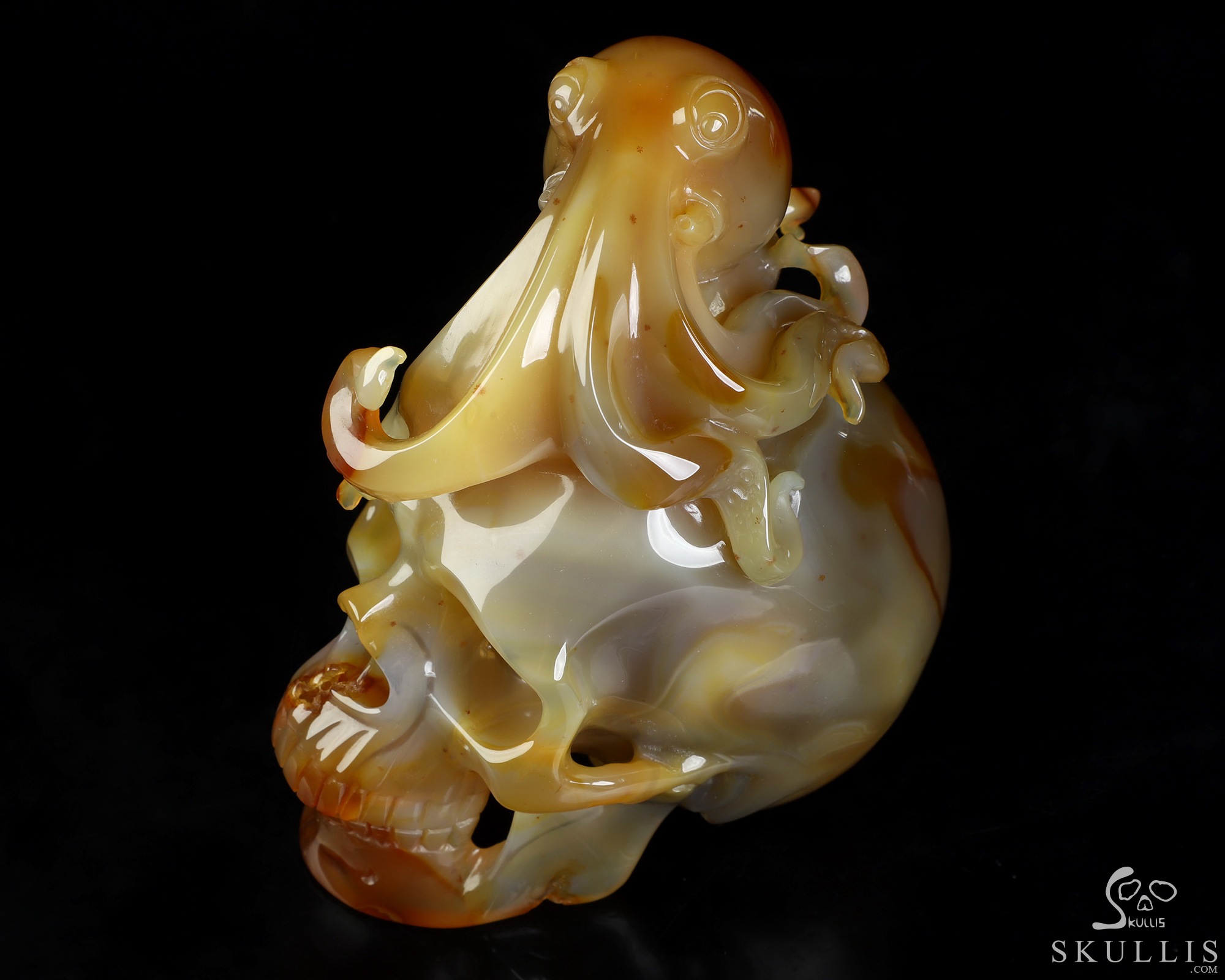 5.3" Carnelian Hand Carved Crystal Skull and Octopus Fine Art Sculpture, Crystal Healing 5.3" Carnelian Hand Carved Crystal Skull and Octopus Fine Art Sculpture, Crystal Healing