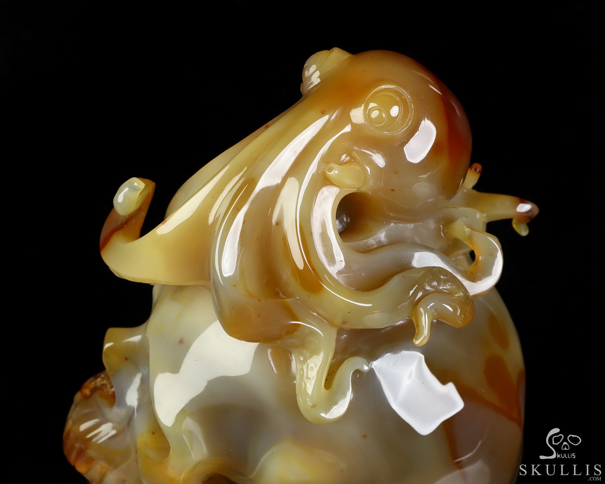 5.3" Carnelian Hand Carved Crystal Skull and Octopus Fine Art Sculpture, Crystal Healing 5.3" Carnelian Hand Carved Crystal Skull and Octopus Fine Art Sculpture, Crystal Healing