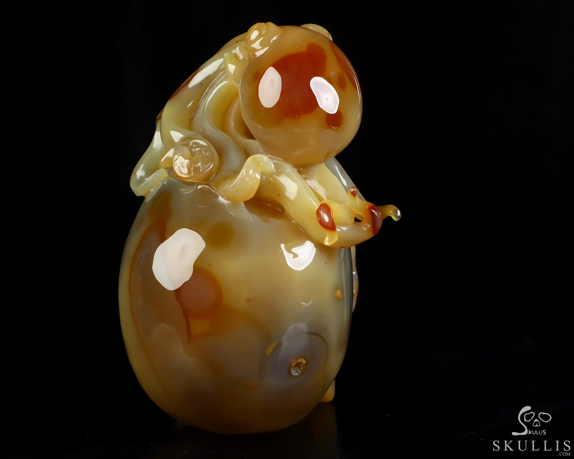 5.3" Carnelian Hand Carved Crystal Skull and Octopus Fine Art Sculpture, Crystal Healing 5.3" Carnelian Hand Carved Crystal Skull and Octopus Fine Art Sculpture, Crystal Healing