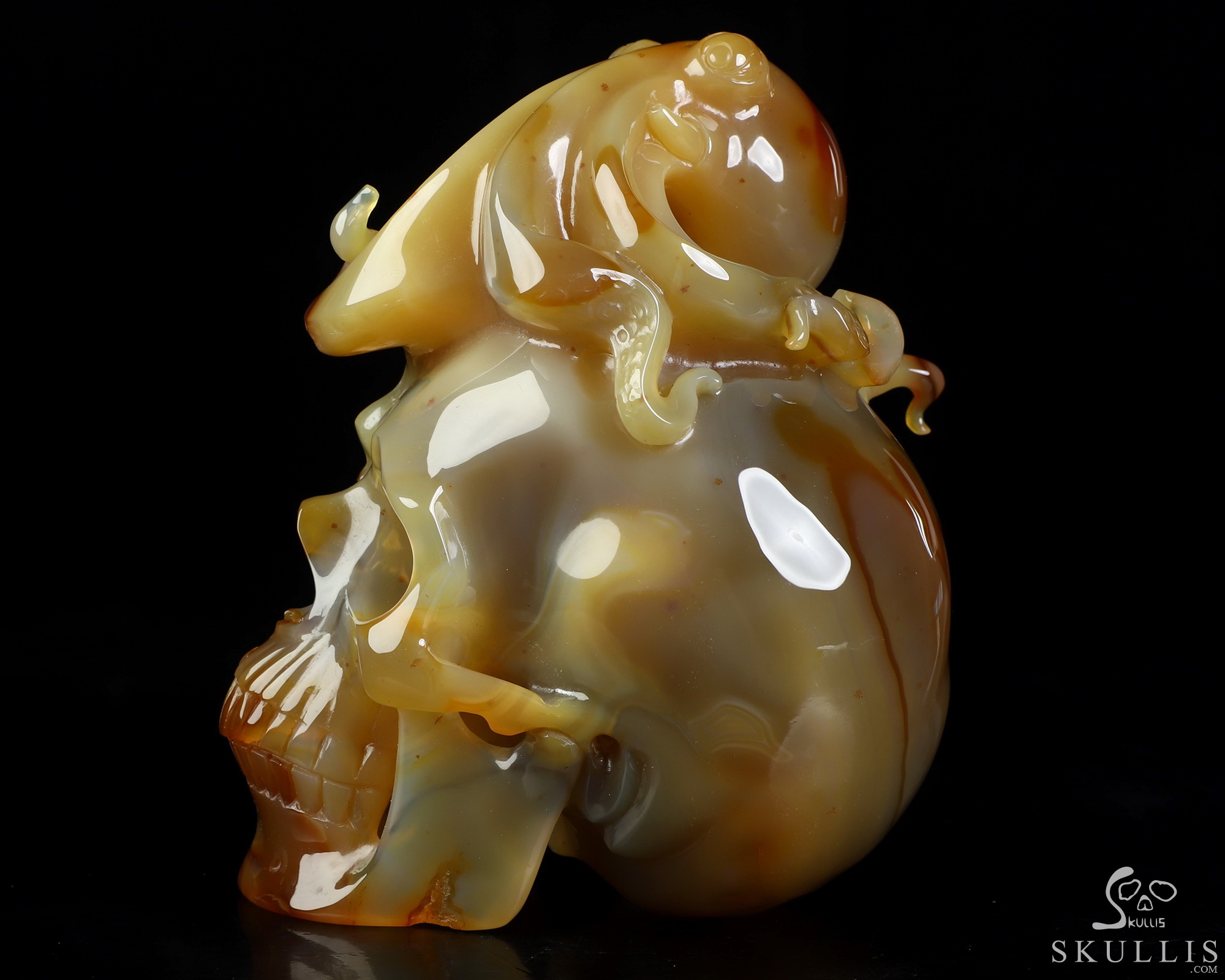 5.3" Carnelian Hand Carved Crystal Skull and Octopus Fine Art Sculpture, Crystal Healing 5.3" Carnelian Hand Carved Crystal Skull and Octopus Fine Art Sculpture, Crystal Healing