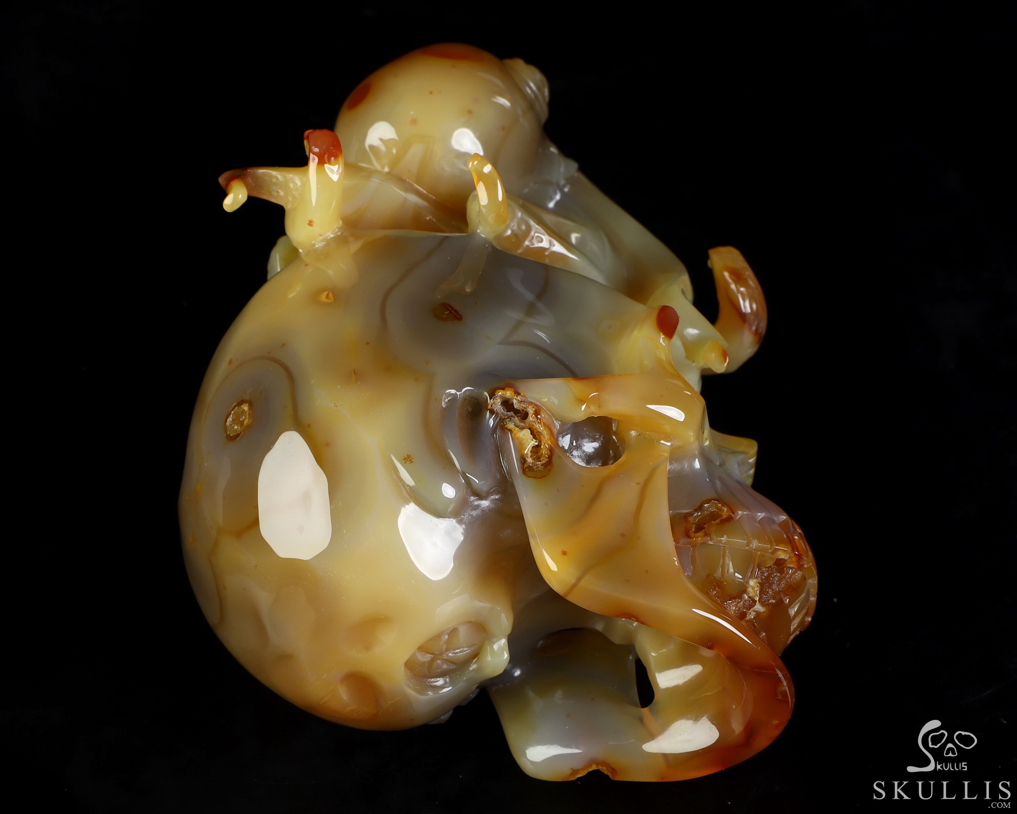 5.3" Carnelian Hand Carved Crystal Skull and Octopus Fine Art Sculpture, Crystal Healing 5.3" Carnelian Hand Carved Crystal Skull and Octopus Fine Art Sculpture, Crystal Healing