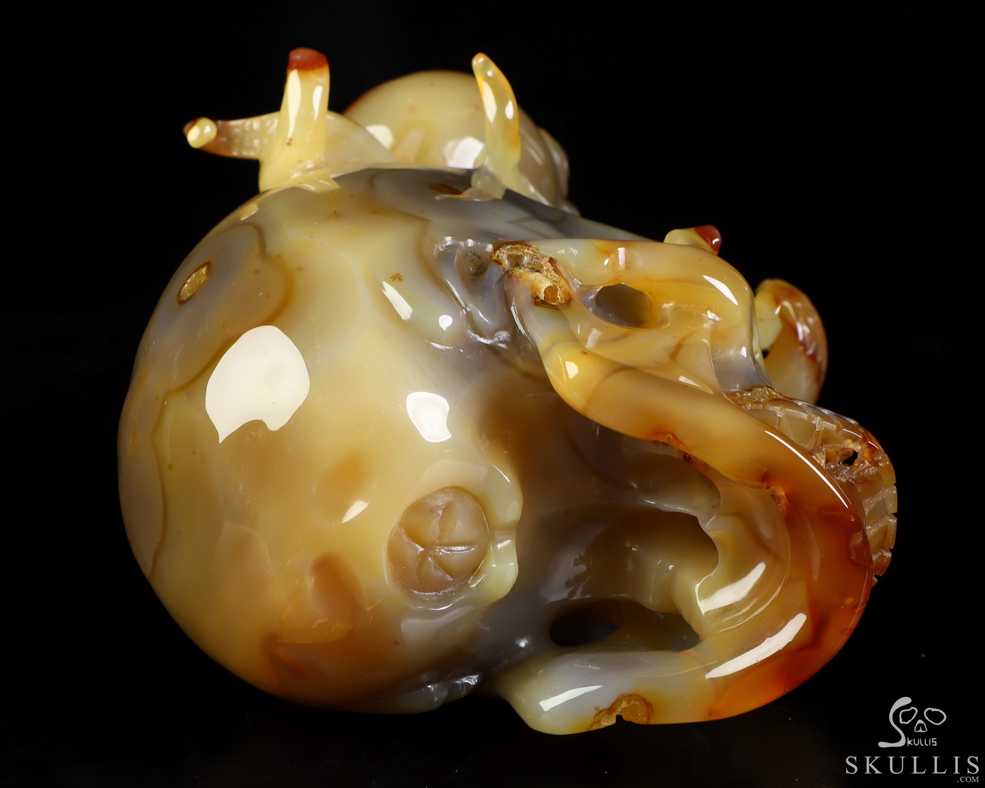 5.3" Carnelian Hand Carved Crystal Skull and Octopus Fine Art Sculpture, Crystal Healing 5.3" Carnelian Hand Carved Crystal Skull and Octopus Fine Art Sculpture, Crystal Healing