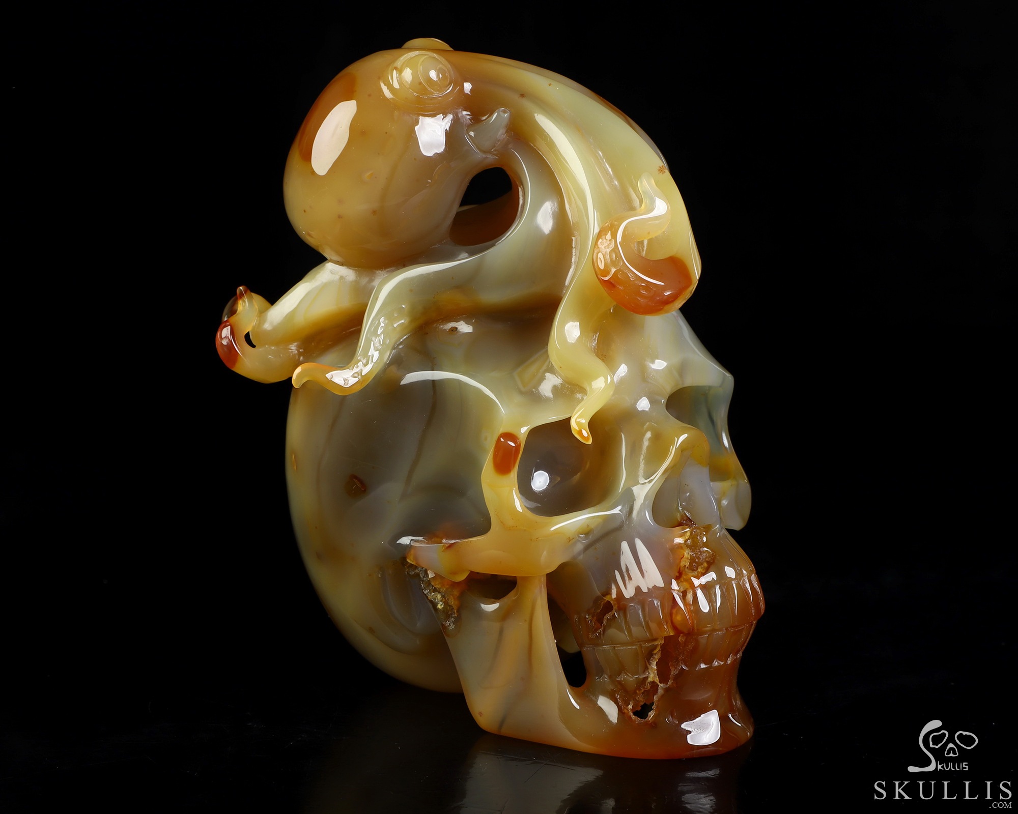 5.3" Carnelian Hand Carved Crystal Skull and Octopus Fine Art Sculpture, Crystal Healing 5.3" Carnelian Hand Carved Crystal Skull and Octopus Fine Art Sculpture, Crystal Healing
