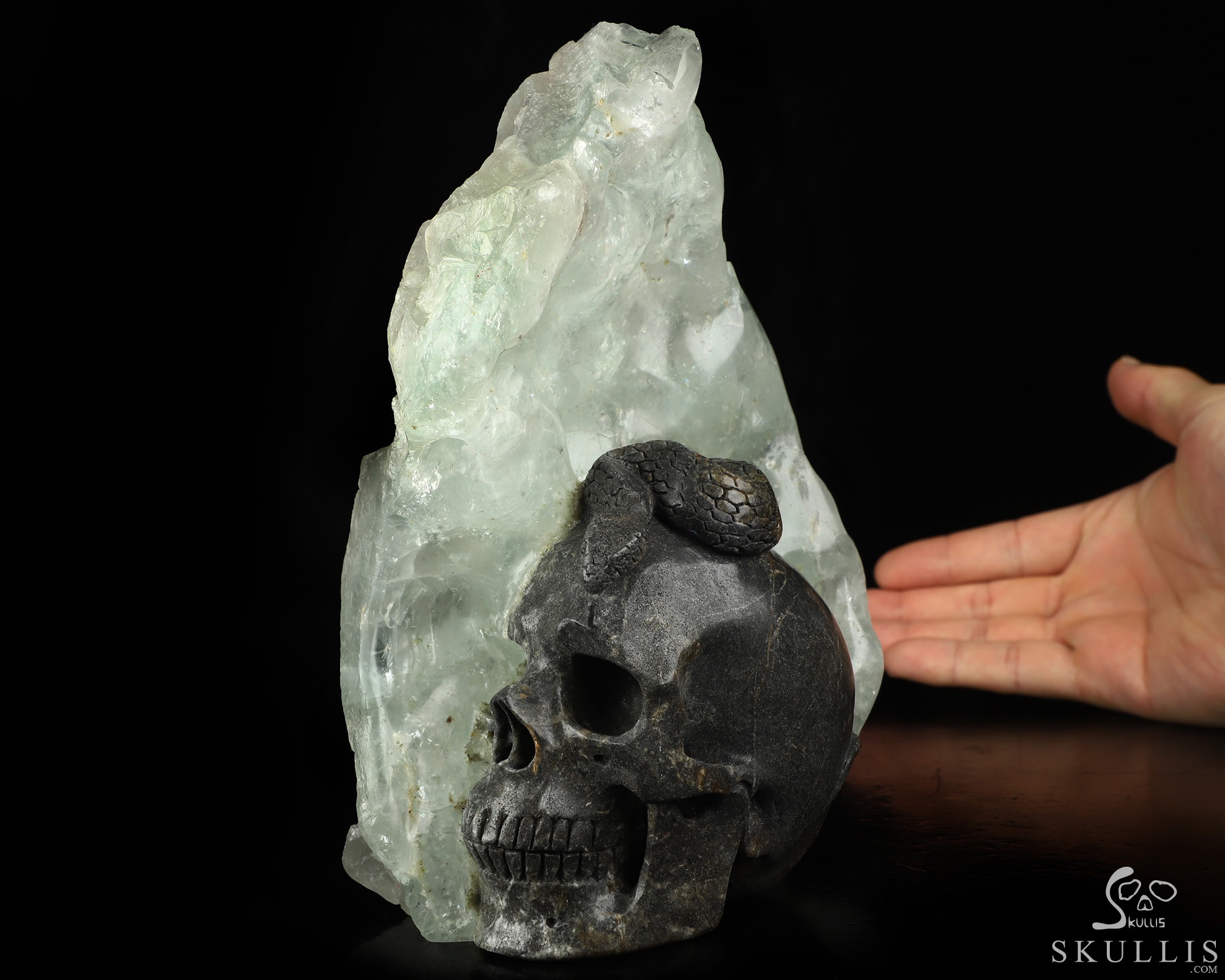 7.5" Fluorite Hand Carved Crystal Skull and Snake Fine Art Sculpture, Crystal Healing 7.5" Fluorite Hand Carved Crystal Skull and Snake Fine Art Sculpture, Crystal Healing