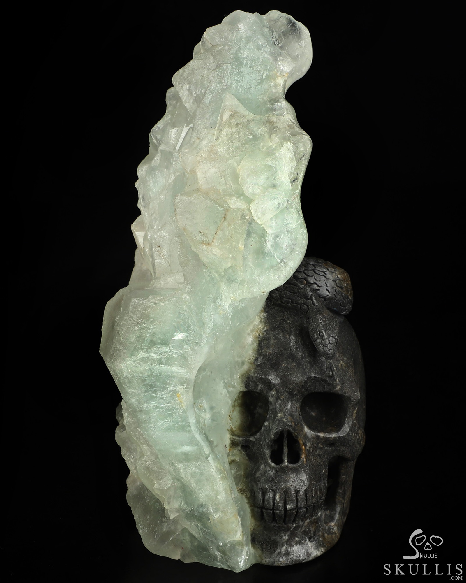 7.5" Fluorite Hand Carved Crystal Skull and Snake Fine Art Sculpture, Crystal Healing 7.5" Fluorite Hand Carved Crystal Skull and Snake Fine Art Sculpture, Crystal Healing