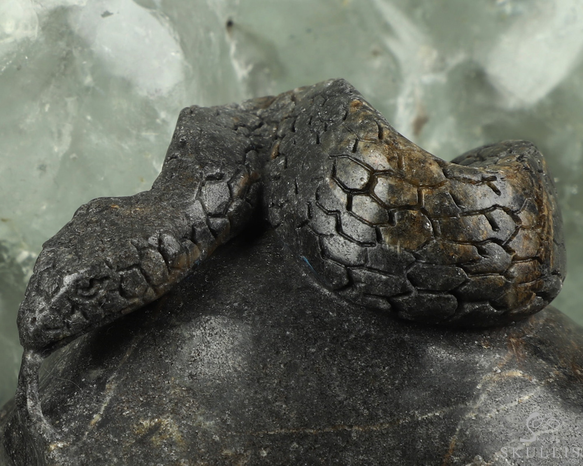 7.5" Fluorite Hand Carved Crystal Skull and Snake Fine Art Sculpture, Crystal Healing 7.5" Fluorite Hand Carved Crystal Skull and Snake Fine Art Sculpture, Crystal Healing