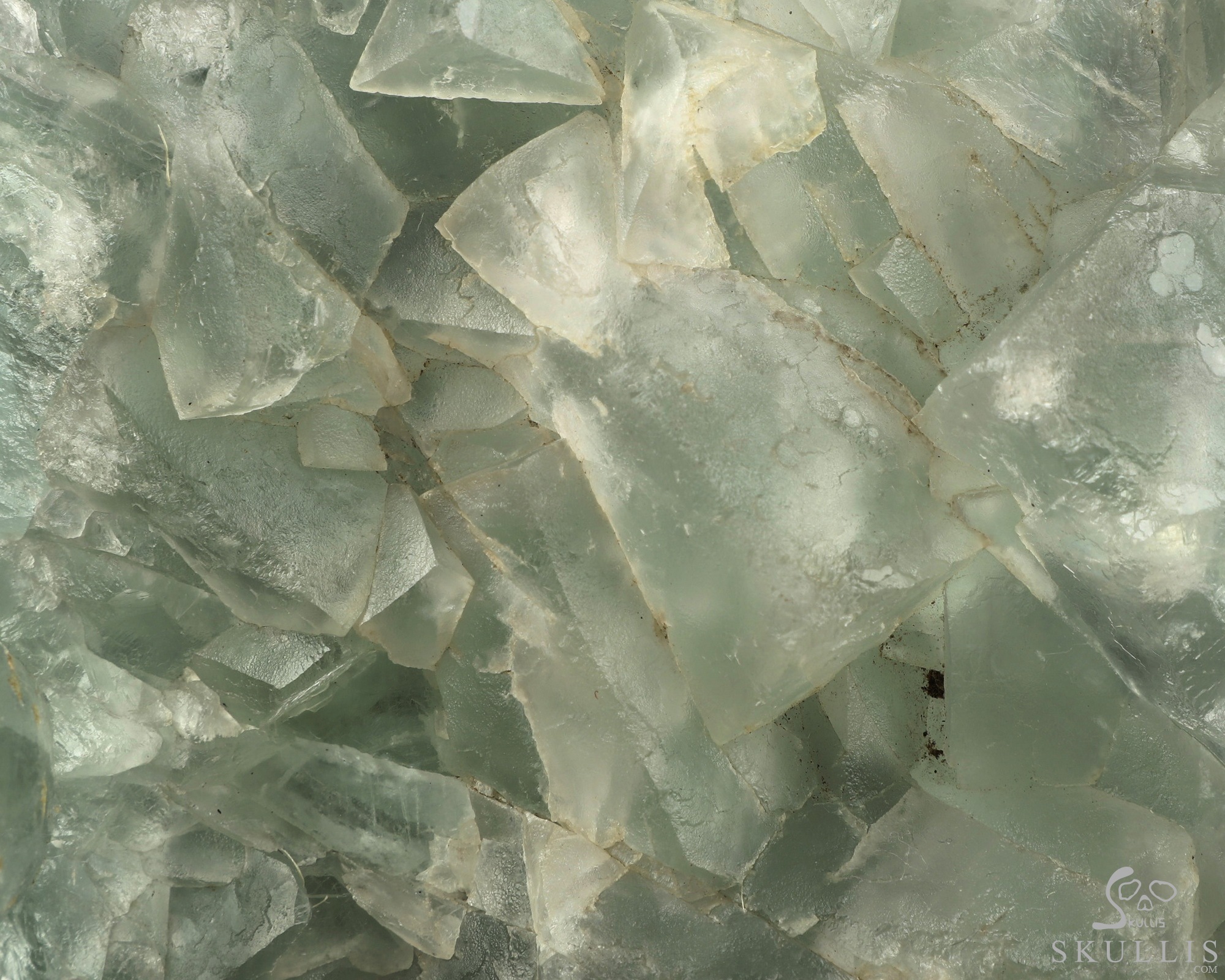 7.5" Fluorite Hand Carved Crystal Skull and Snake Fine Art Sculpture, Crystal Healing 7.5" Fluorite Hand Carved Crystal Skull and Snake Fine Art Sculpture, Crystal Healing