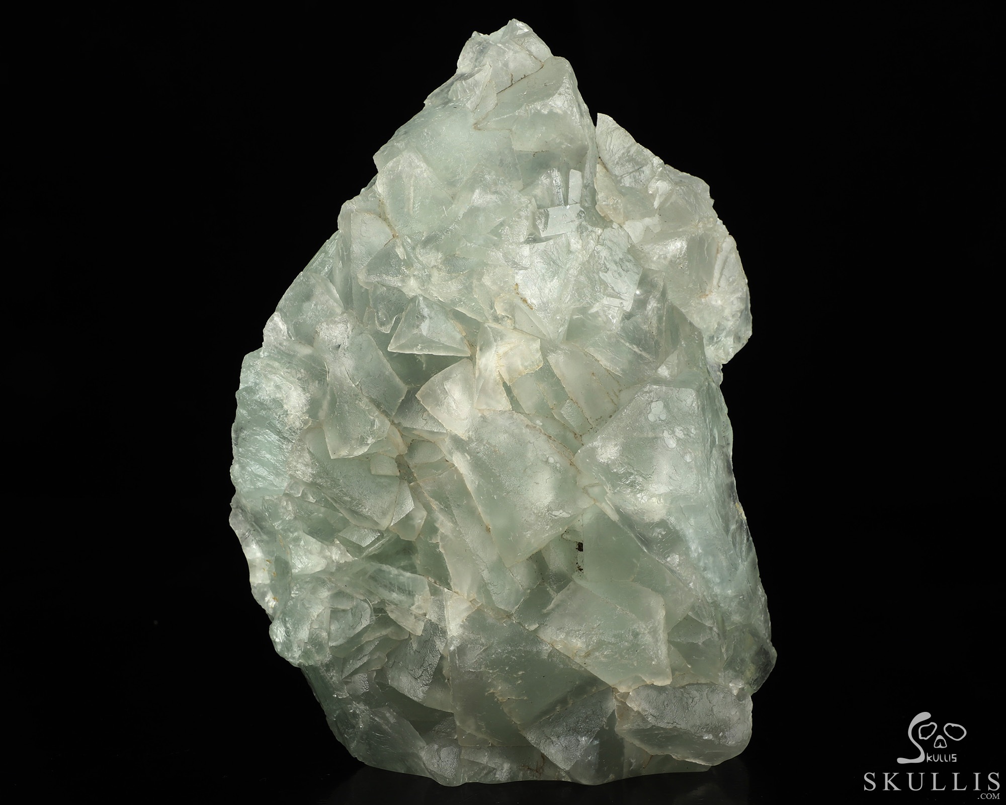 7.5" Fluorite Hand Carved Crystal Skull and Snake Fine Art Sculpture, Crystal Healing 7.5" Fluorite Hand Carved Crystal Skull and Snake Fine Art Sculpture, Crystal Healing