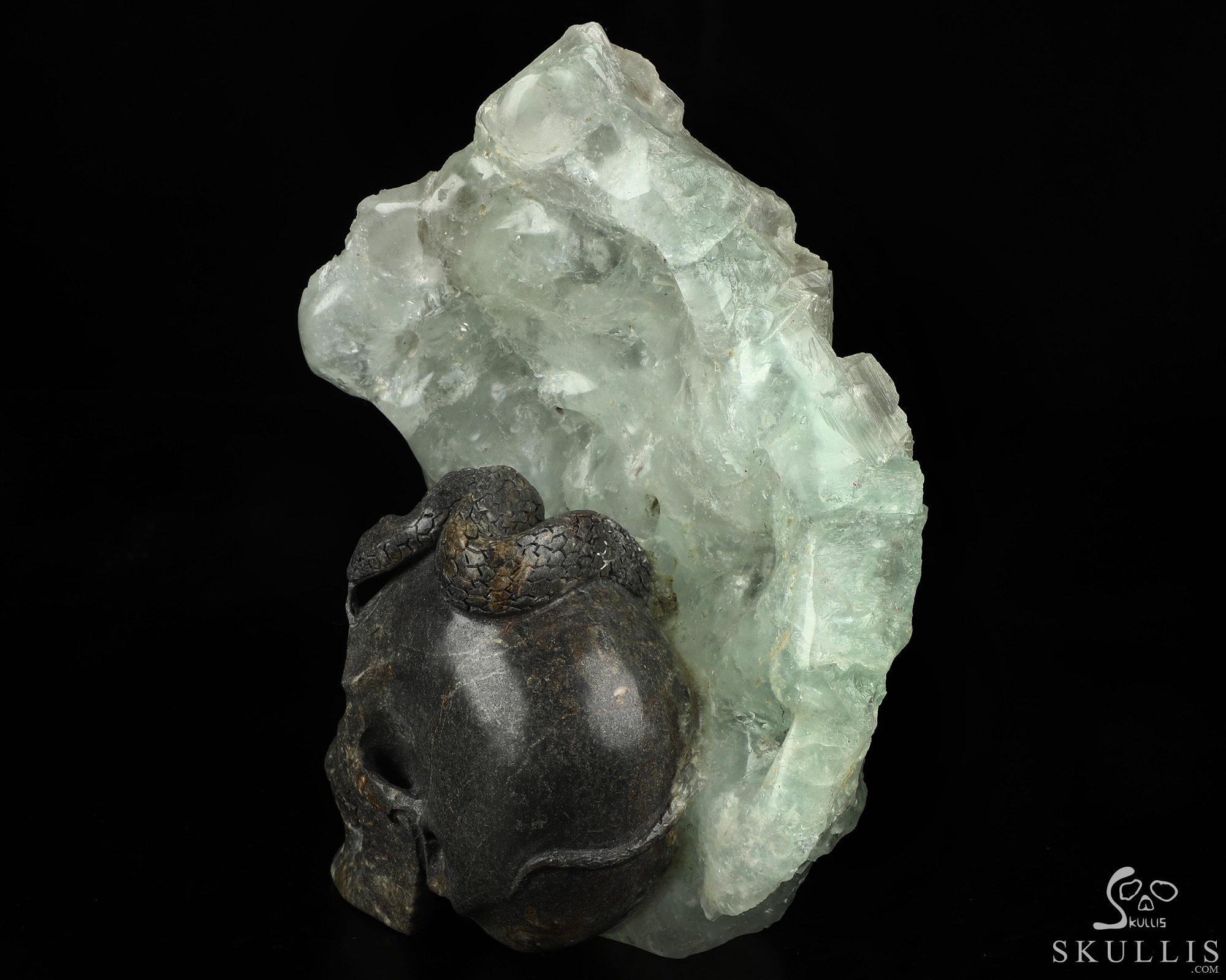 7.5" Fluorite Hand Carved Crystal Skull and Snake Fine Art Sculpture, Crystal Healing 7.5" Fluorite Hand Carved Crystal Skull and Snake Fine Art Sculpture, Crystal Healing