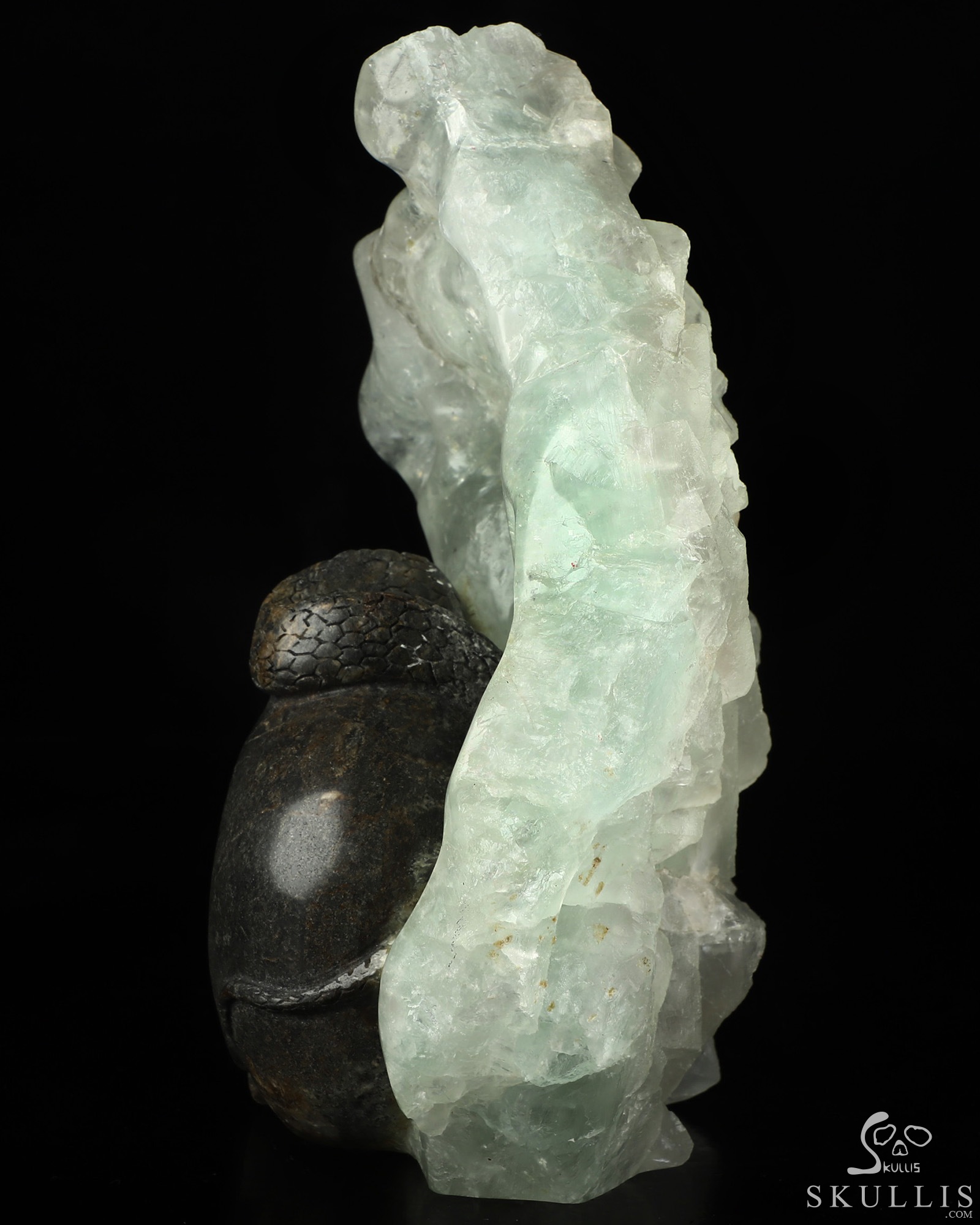 7.5" Fluorite Hand Carved Crystal Skull and Snake Fine Art Sculpture, Crystal Healing 7.5" Fluorite Hand Carved Crystal Skull and Snake Fine Art Sculpture, Crystal Healing