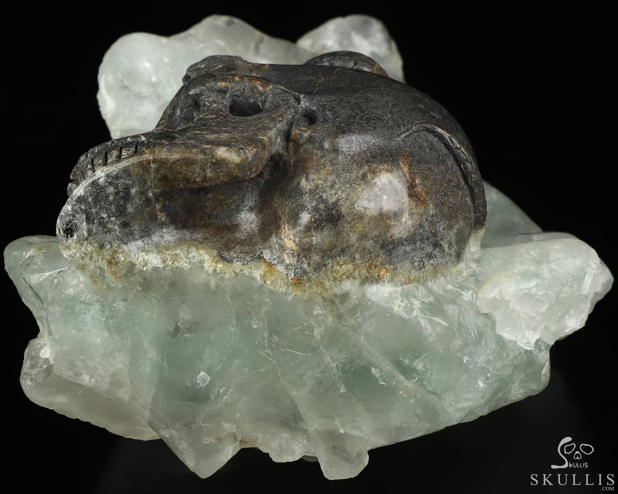 7.5" Fluorite Hand Carved Crystal Skull and Snake Fine Art Sculpture, Crystal Healing 7.5" Fluorite Hand Carved Crystal Skull and Snake Fine Art Sculpture, Crystal Healing