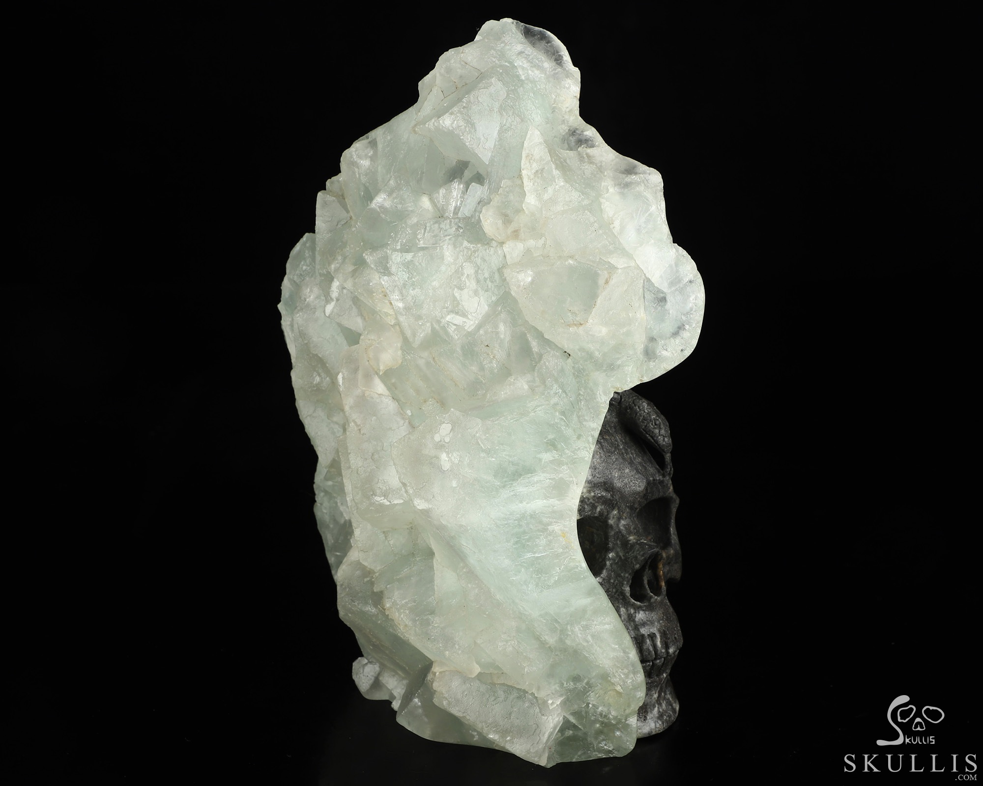 7.5" Fluorite Hand Carved Crystal Skull and Snake Fine Art Sculpture, Crystal Healing 7.5" Fluorite Hand Carved Crystal Skull and Snake Fine Art Sculpture, Crystal Healing
