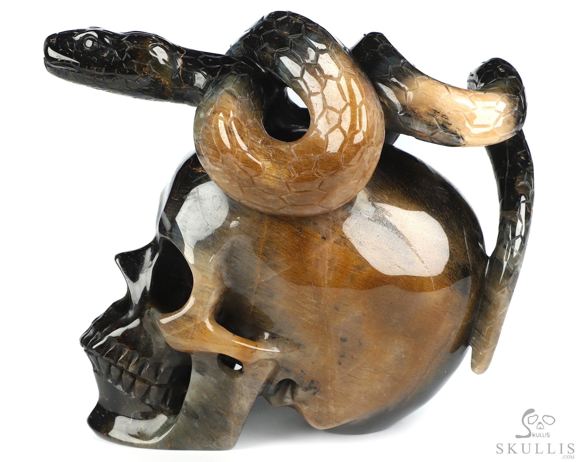 5.3" Blue & Gold Tiger's Eye Hand Carved Crystal Skull and Snake Sculpture, Crystal Healing 5.3" Blue & Gold Tiger's Eye Hand Carved Crystal Skull and Snake Sculpture, Crystal Healing