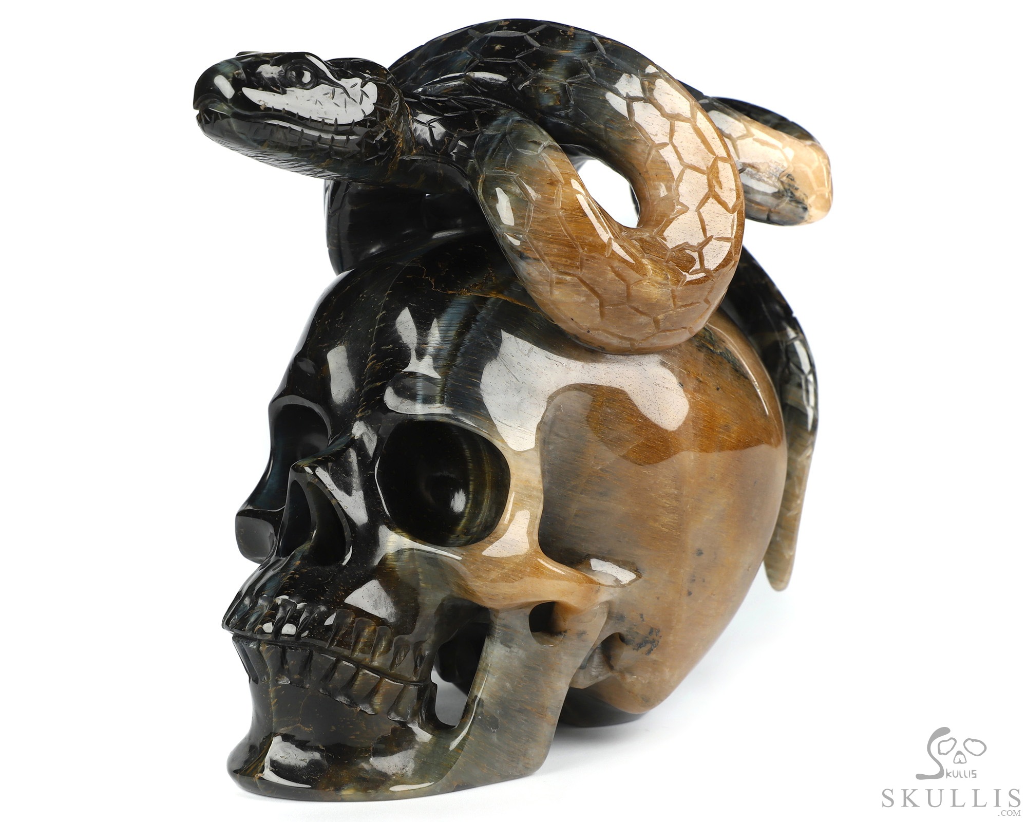 5.3" Blue & Gold Tiger's Eye Hand Carved Crystal Skull and Snake Sculpture, Crystal Healing 5.3" Blue & Gold Tiger's Eye Hand Carved Crystal Skull and Snake Sculpture, Crystal Healing