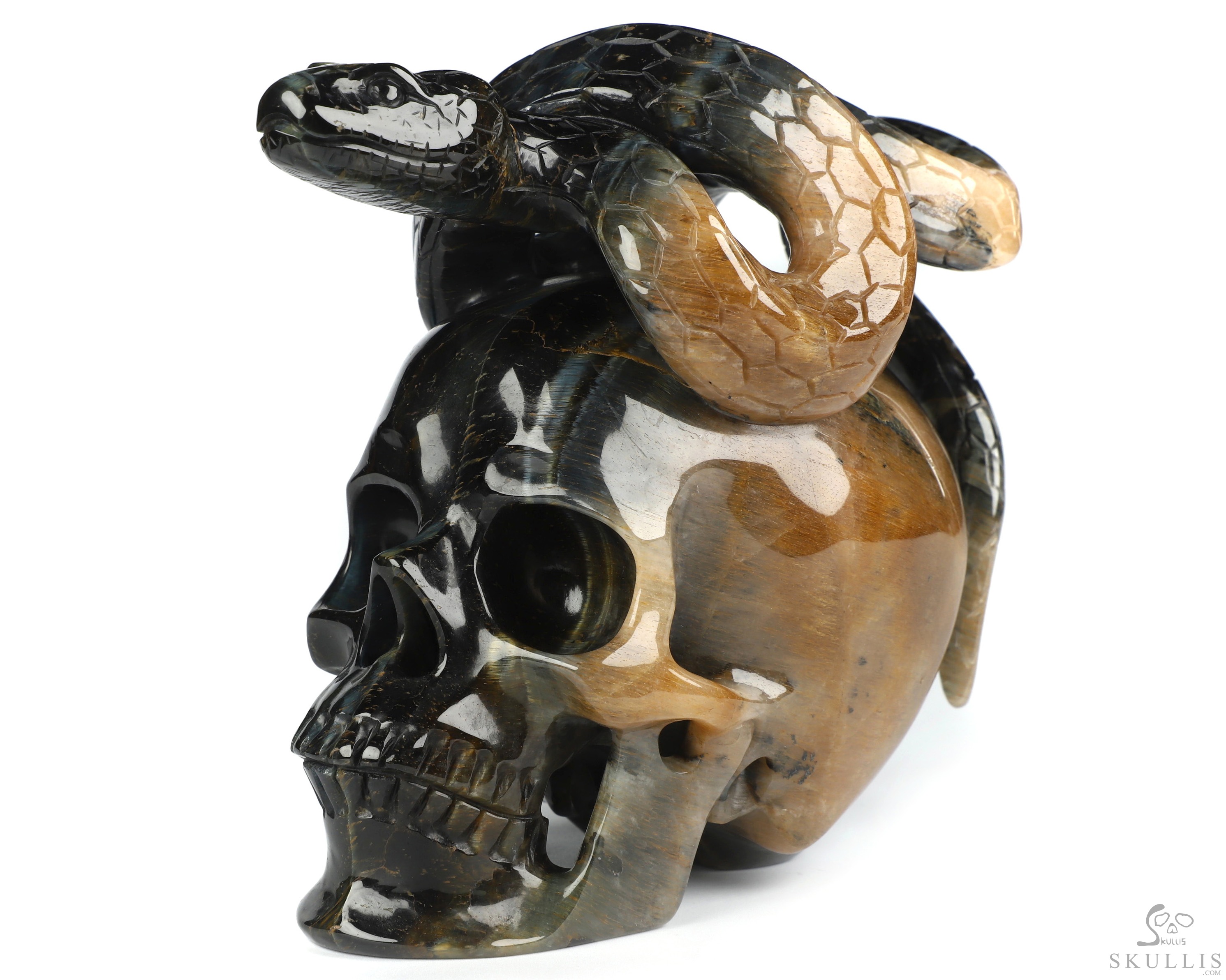 5.3" Blue & Gold Tiger's Eye Hand Carved Crystal Skull and Snake Sculpture, Crystal Healing 5.3" Blue & Gold Tiger's Eye Hand Carved Crystal Skull and Snake Sculpture, Crystal Healing