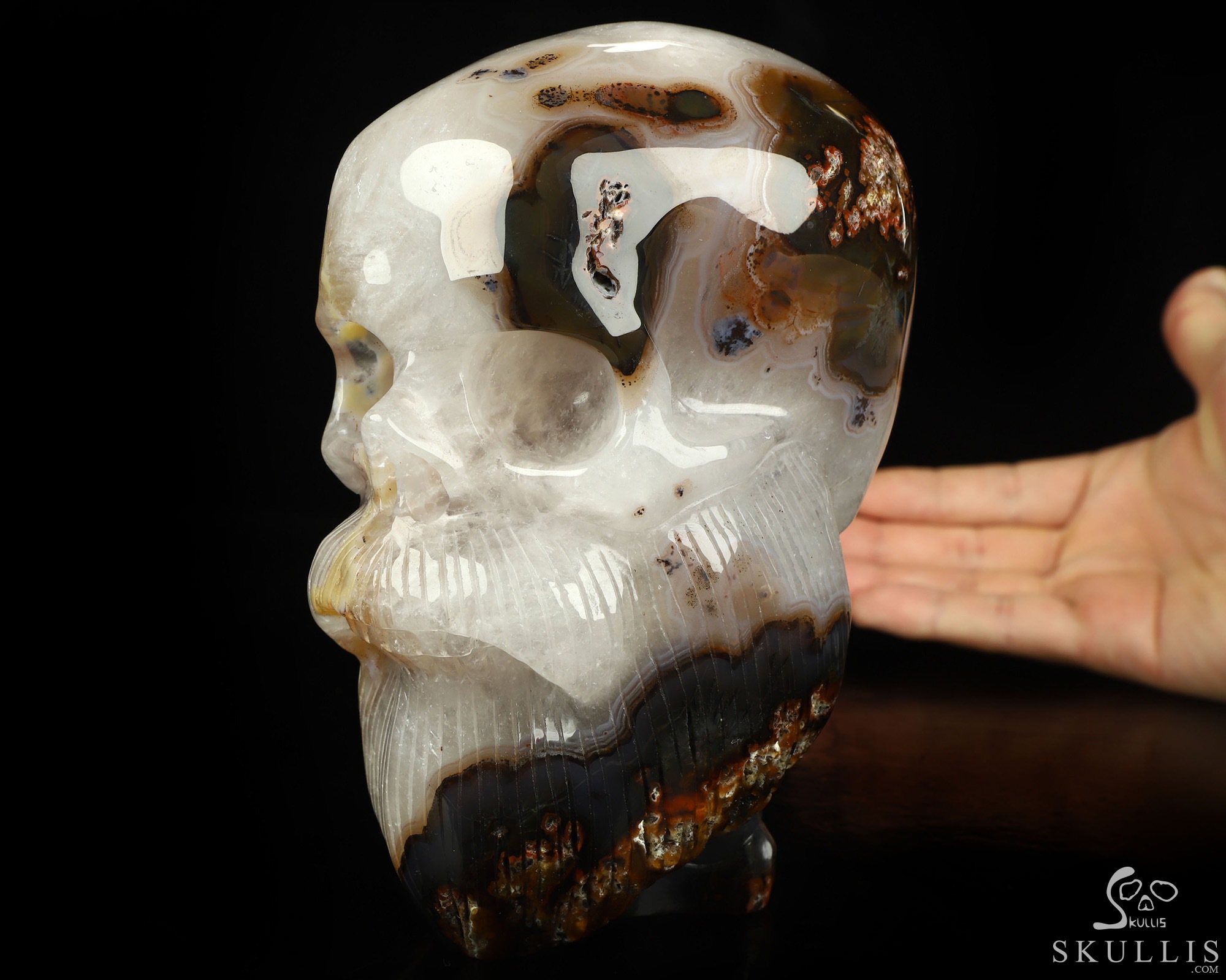 6.0" Premium Brazilian Agate Hand Carved Crystal Skull Fine Art Sculpture, Crystal Healing 6.0" Premium Brazilian Agate Hand Carved Crystal Skull Fine Art Sculpture, Crystal Healing