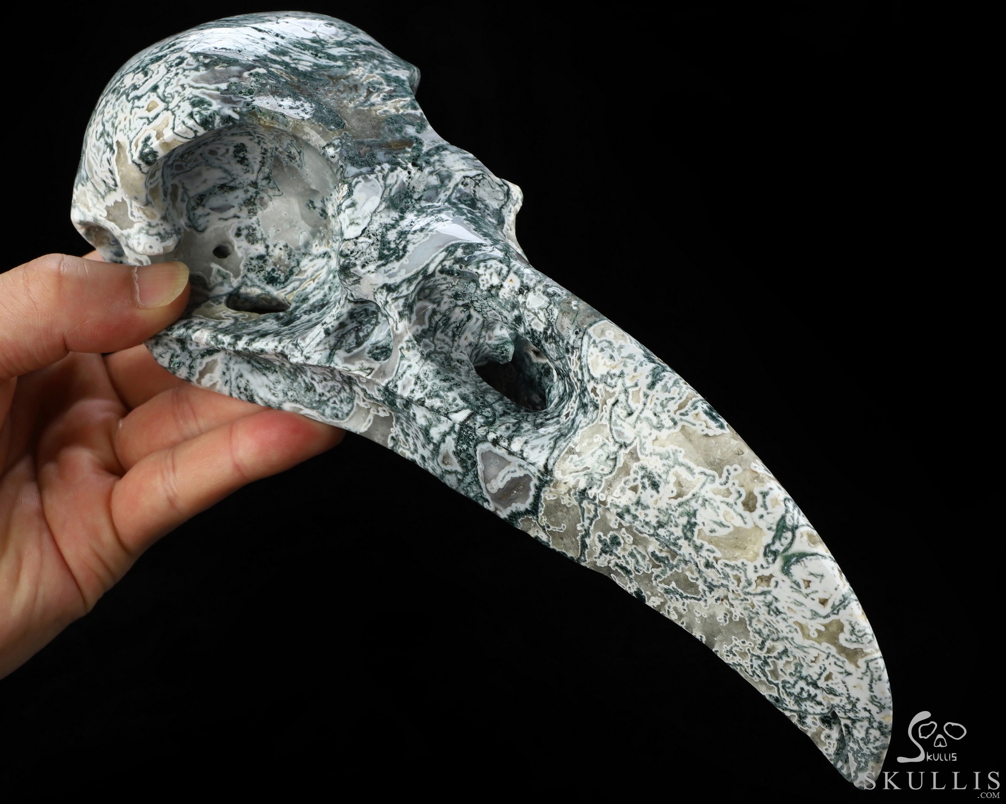 9.3" Tree Agate Hand Carved Raven Crystal Skull Sculpture, Crystal Healing 9.3" Tree Agate Hand Carved Raven Crystal Skull Sculpture, Crystal Healing