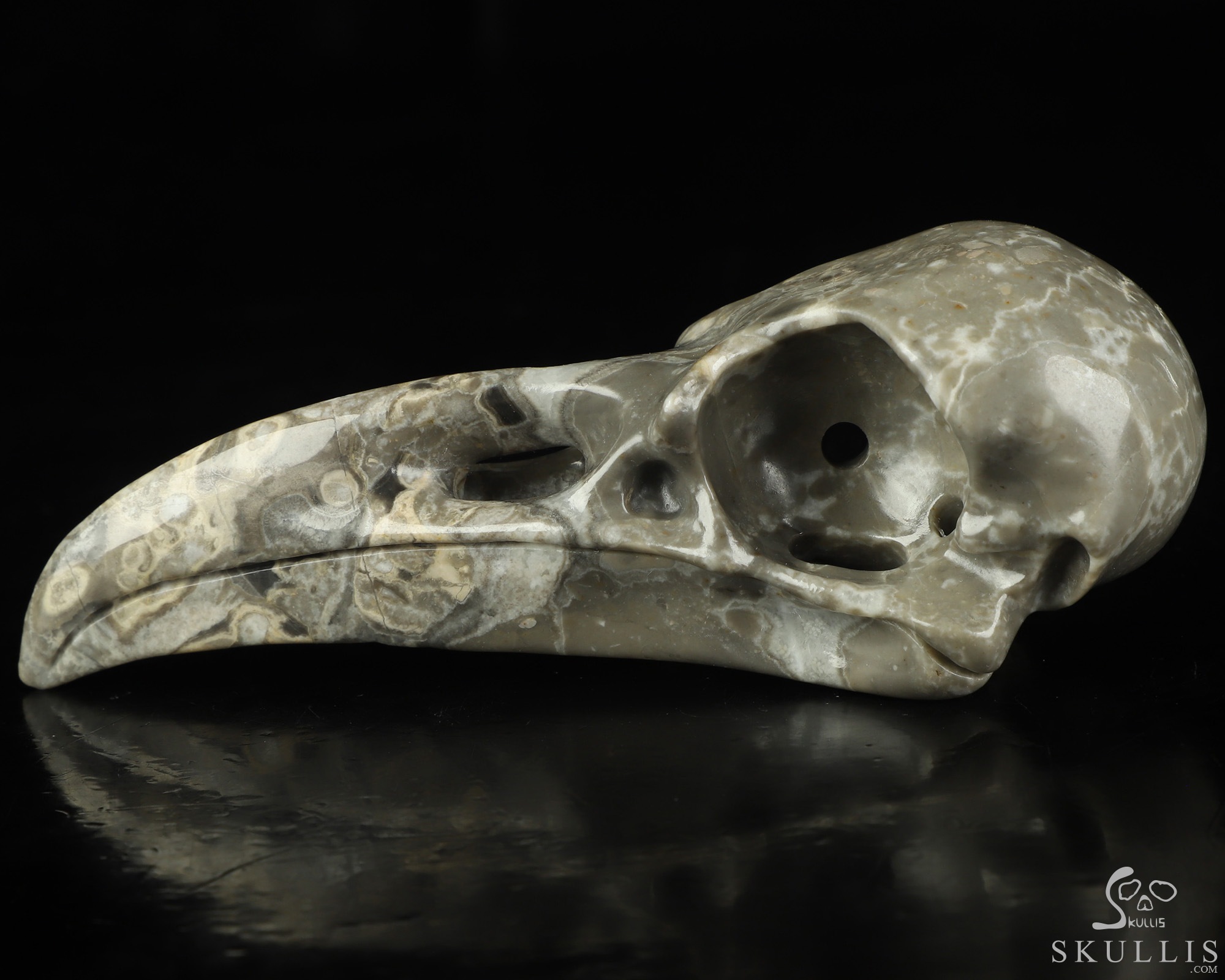 4.8" Crocodile Jasper Hand Carved Raven Crystal Skull Sculpture, Crystal Healing 4.8" Crocodile Jasper Hand Carved Raven Crystal Skull Sculpture, Crystal Healing