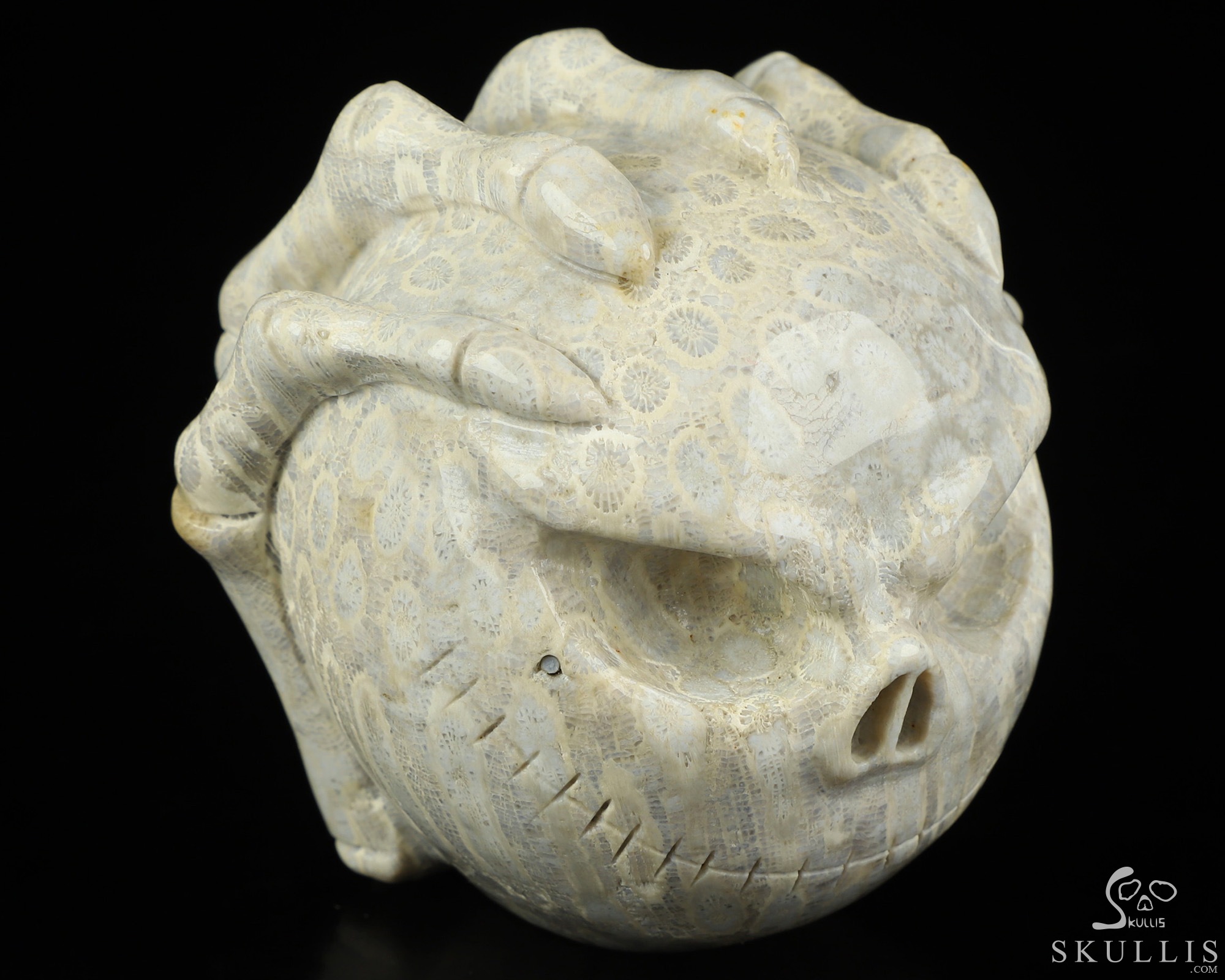 3.0" Coral Fossil Hand Carved Jack Crystal Skull Sculpture, Crystal Healing 3.0" Coral Fossil Hand Carved Jack Crystal Skull Sculpture, Crystal Healing
