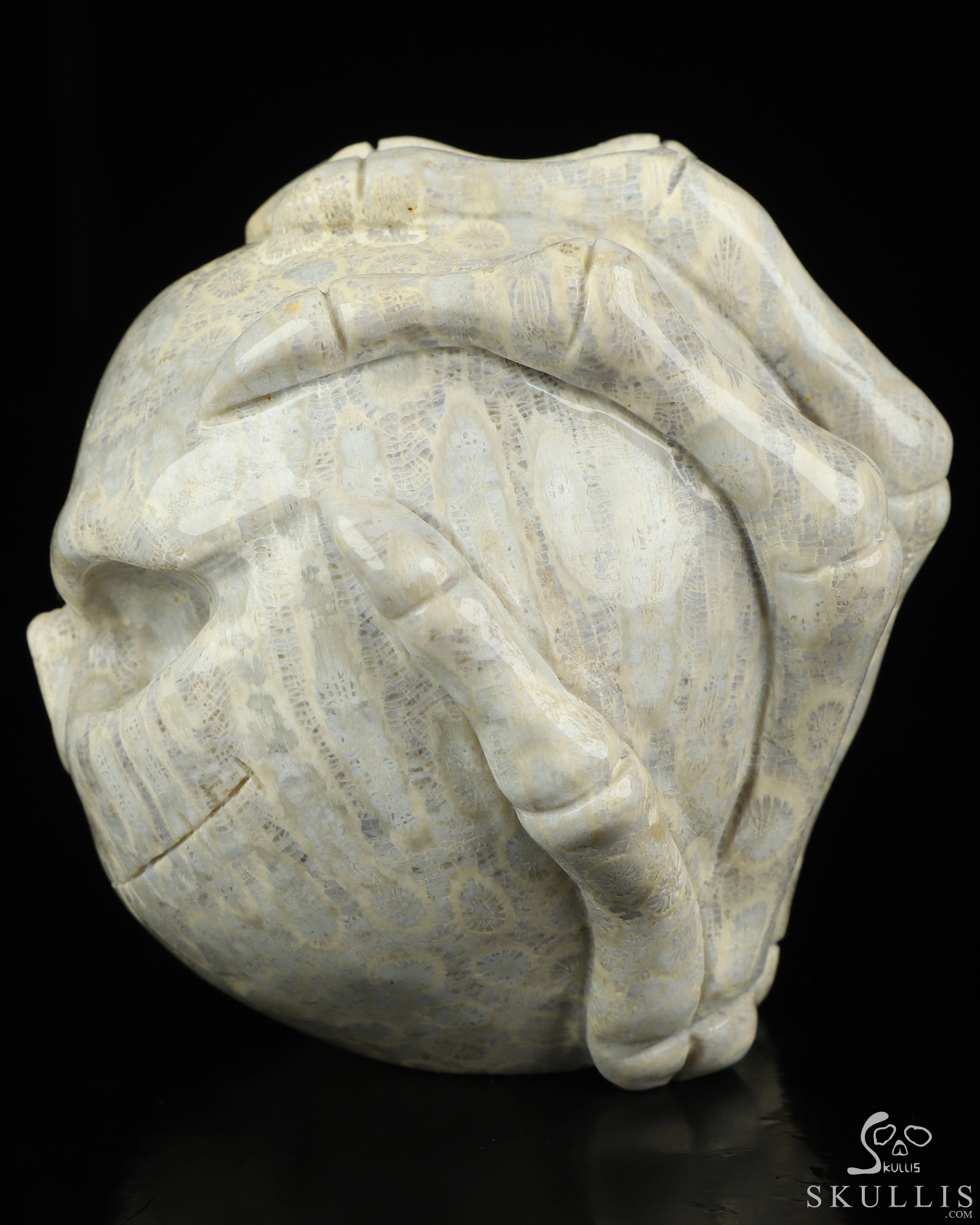 3.0" Coral Fossil Hand Carved Jack Crystal Skull Sculpture, Crystal Healing 3.0" Coral Fossil Hand Carved Jack Crystal Skull Sculpture, Crystal Healing