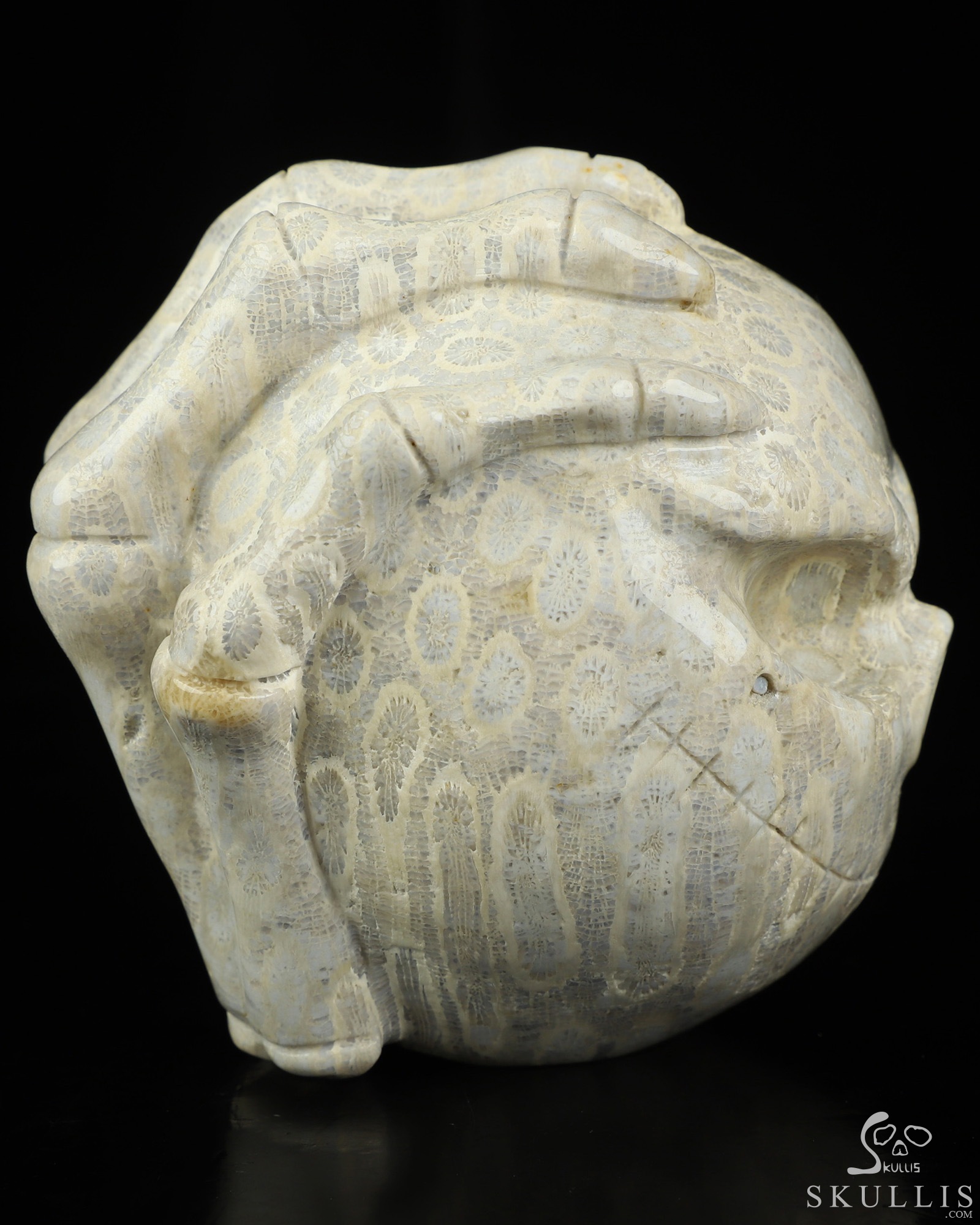 3.0" Coral Fossil Hand Carved Jack Crystal Skull Sculpture, Crystal Healing 3.0" Coral Fossil Hand Carved Jack Crystal Skull Sculpture, Crystal Healing