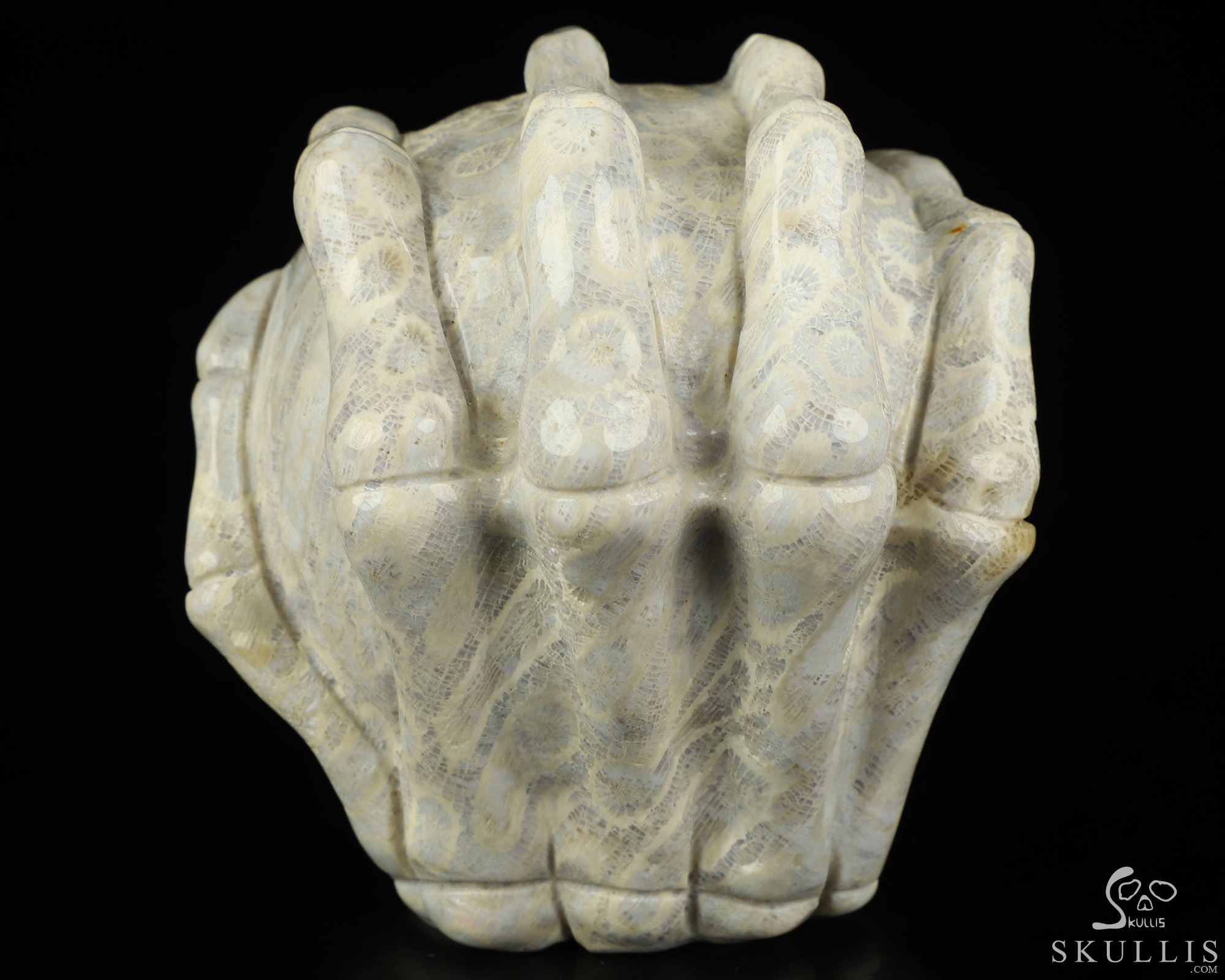 3.0" Coral Fossil Hand Carved Jack Crystal Skull Sculpture, Crystal Healing 3.0" Coral Fossil Hand Carved Jack Crystal Skull Sculpture, Crystal Healing