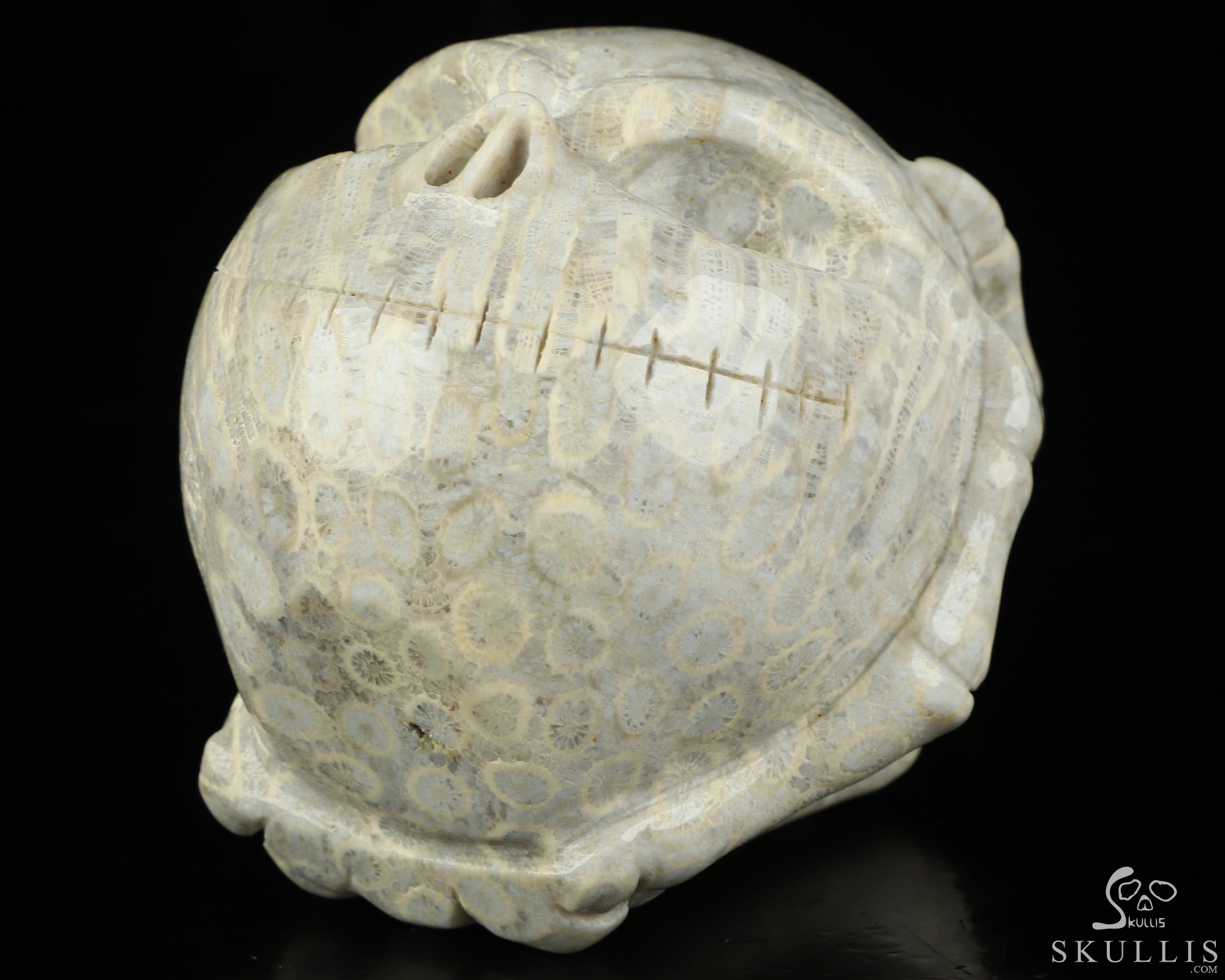 3.0" Coral Fossil Hand Carved Jack Crystal Skull Sculpture, Crystal Healing 3.0" Coral Fossil Hand Carved Jack Crystal Skull Sculpture, Crystal Healing