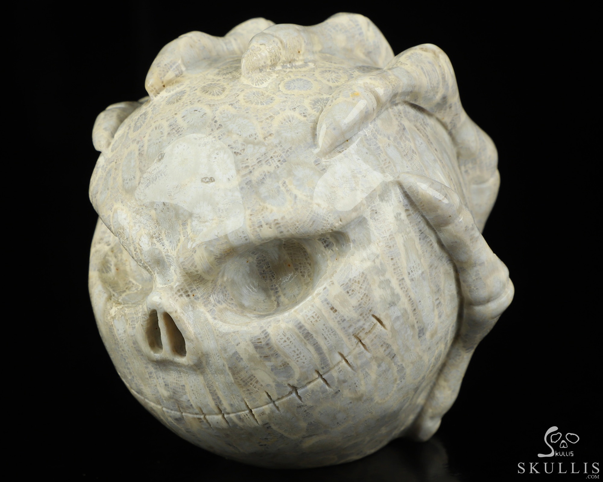 3.0" Coral Fossil Hand Carved Jack Crystal Skull Sculpture, Crystal Healing 3.0" Coral Fossil Hand Carved Jack Crystal Skull Sculpture, Crystal Healing