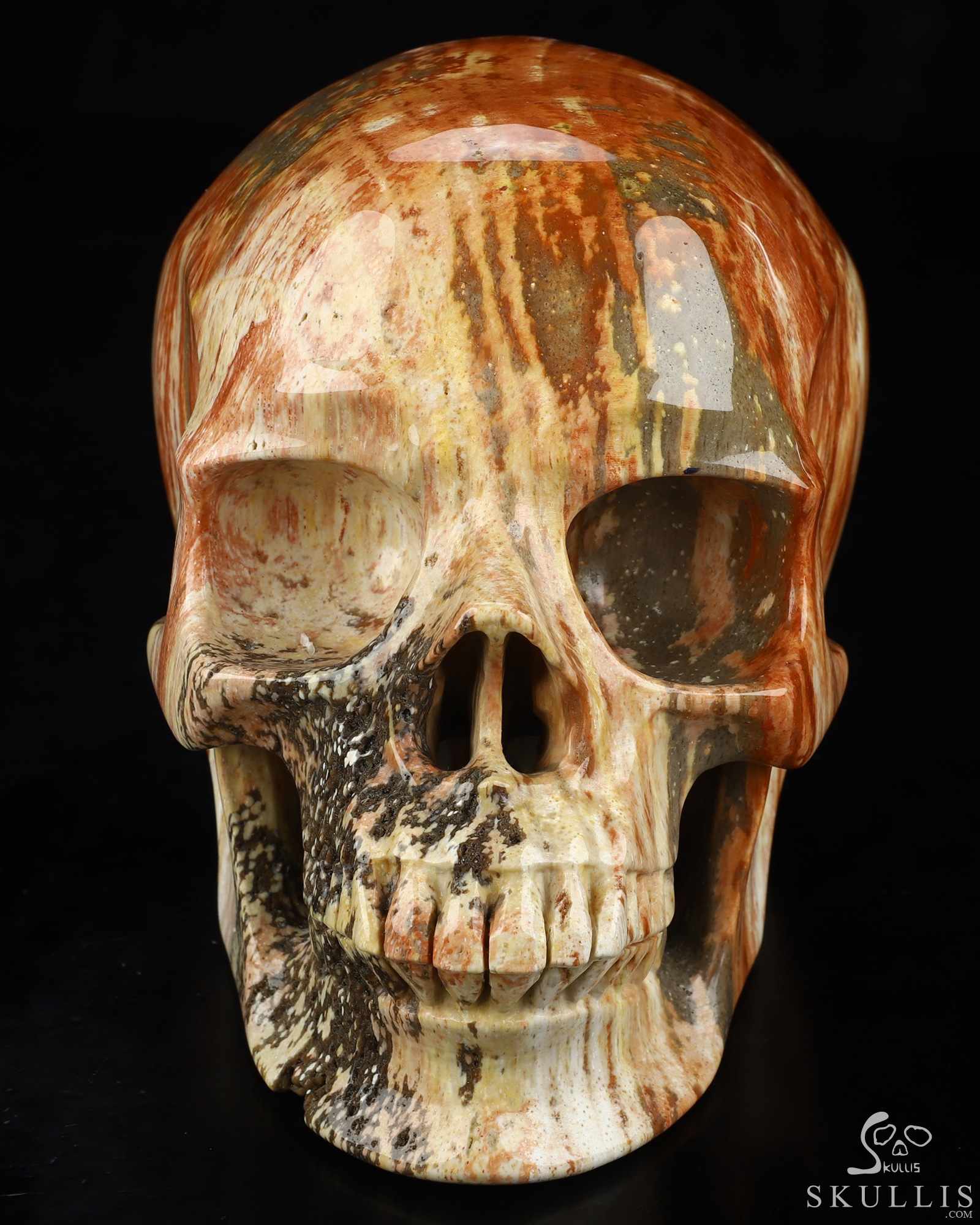 Lifesized 6.8" Petrified Wood Hand Carved Crystal Skull, Super Realistic, Crystal Healing Lifesized 6.8" Petrified Wood Hand Carved Crystal Skull, Super Realistic, Crystal Healing