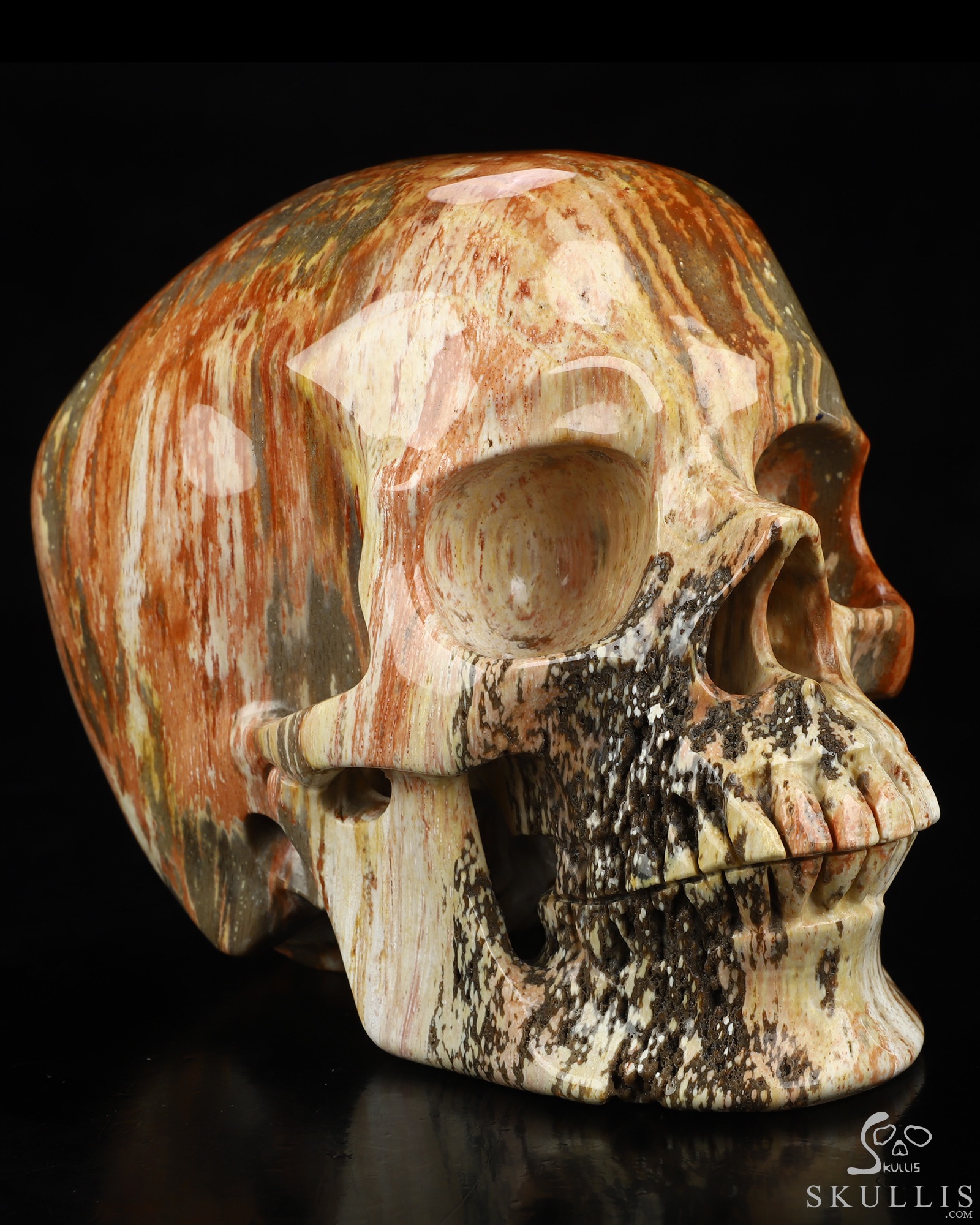 Lifesized 6.8" Petrified Wood Hand Carved Crystal Skull, Super Realistic, Crystal Healing Lifesized 6.8" Petrified Wood Hand Carved Crystal Skull, Super Realistic, Crystal Healing