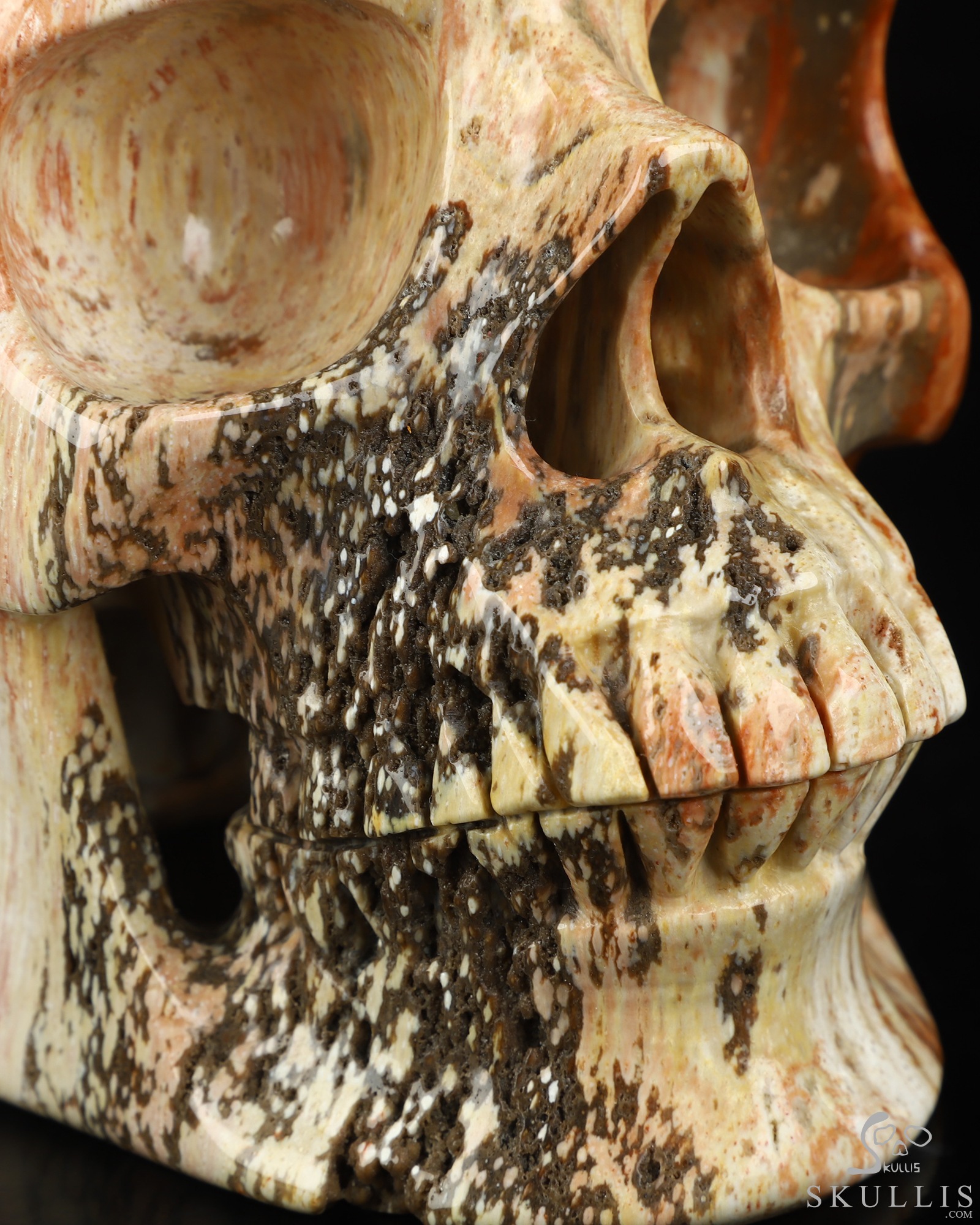 Lifesized 6.8" Petrified Wood Hand Carved Crystal Skull, Super Realistic, Crystal Healing Lifesized 6.8" Petrified Wood Hand Carved Crystal Skull, Super Realistic, Crystal Healing
